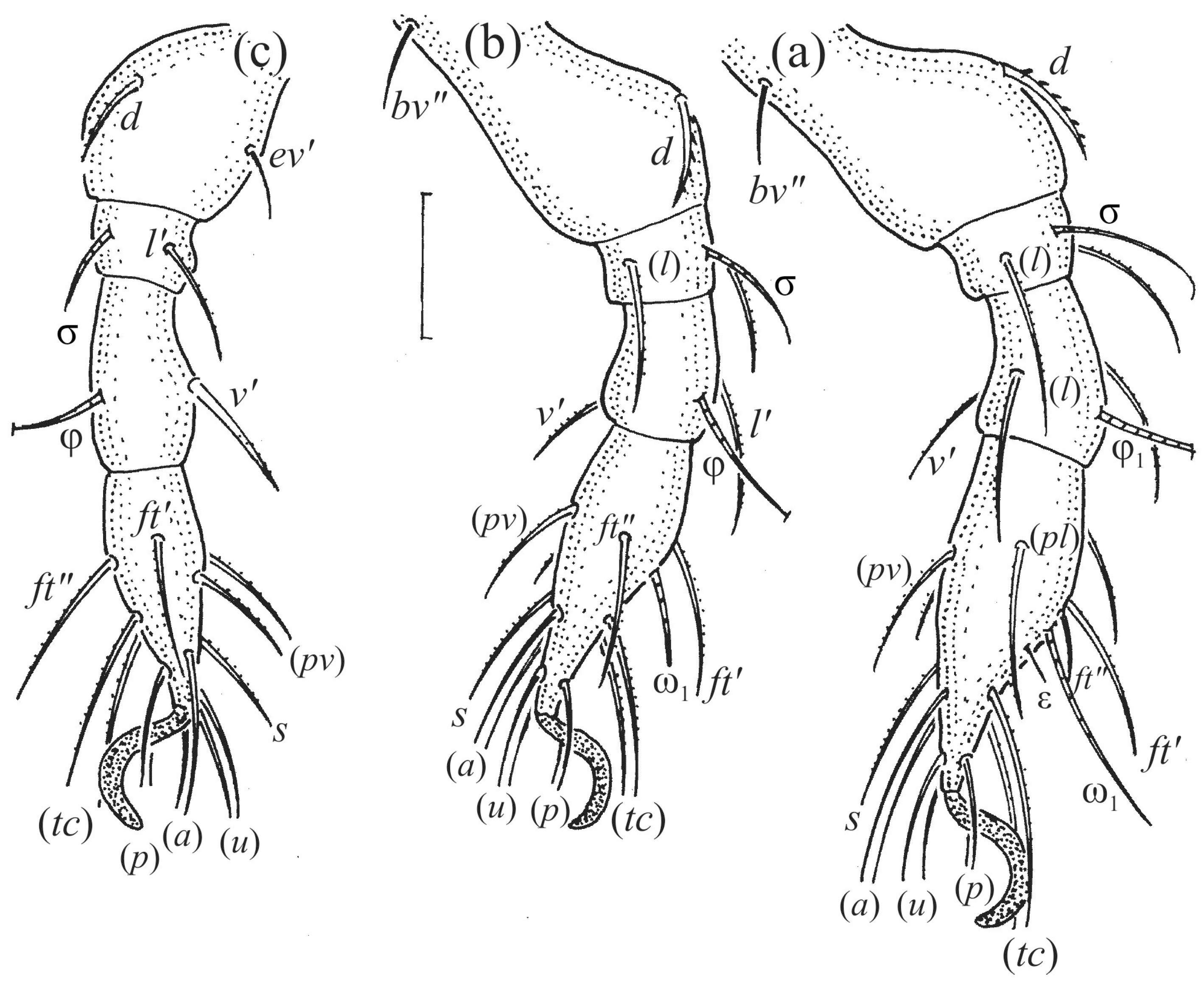 Animals 14 00538 g015 Animals 14 00538 g015