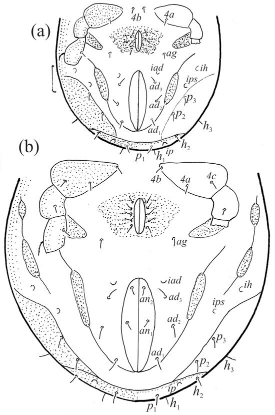 Animals 14 00538 g016