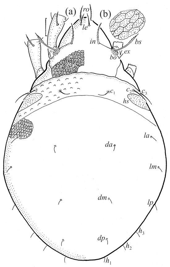 Animals 14 00538 g017