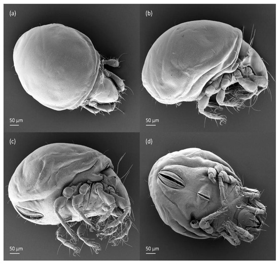 Animals 14 00538 g018