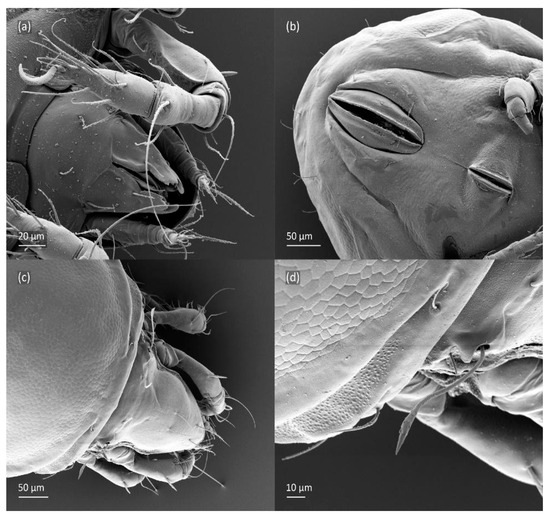 Animals 14 00538 g019