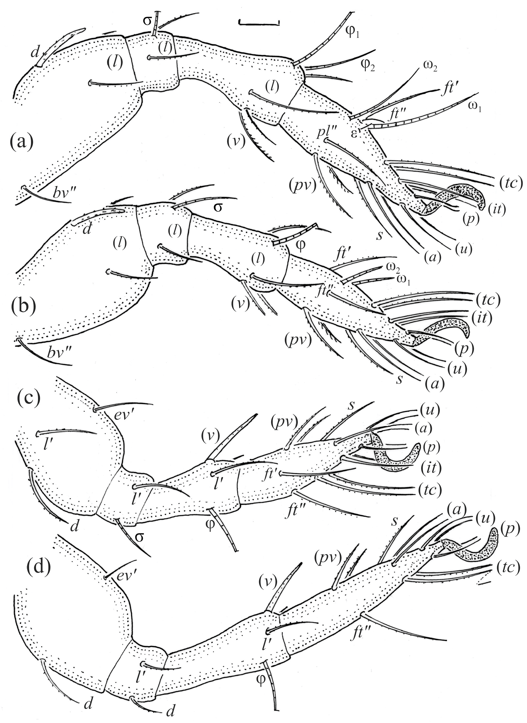 Animals 14 00538 g021 Animals 14 00538 g021