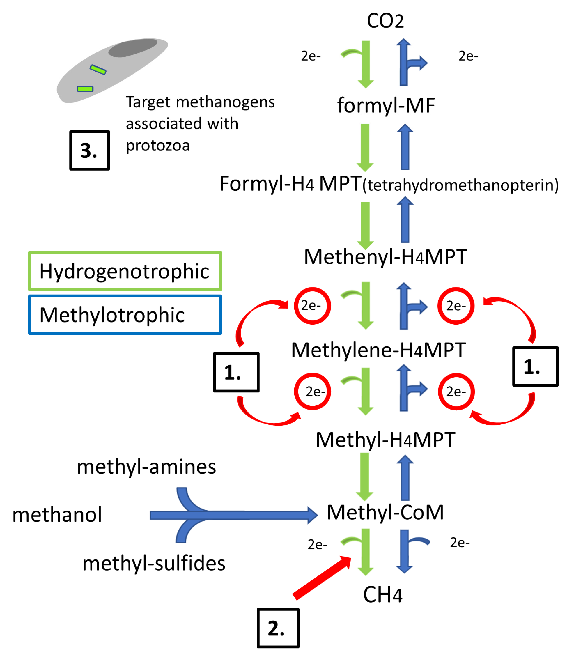 Animals 14 00568 g001