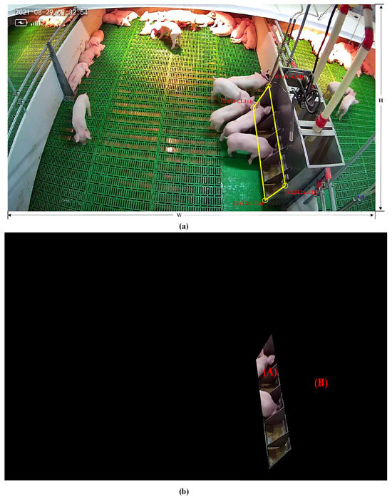 Animals 14 00569 g005