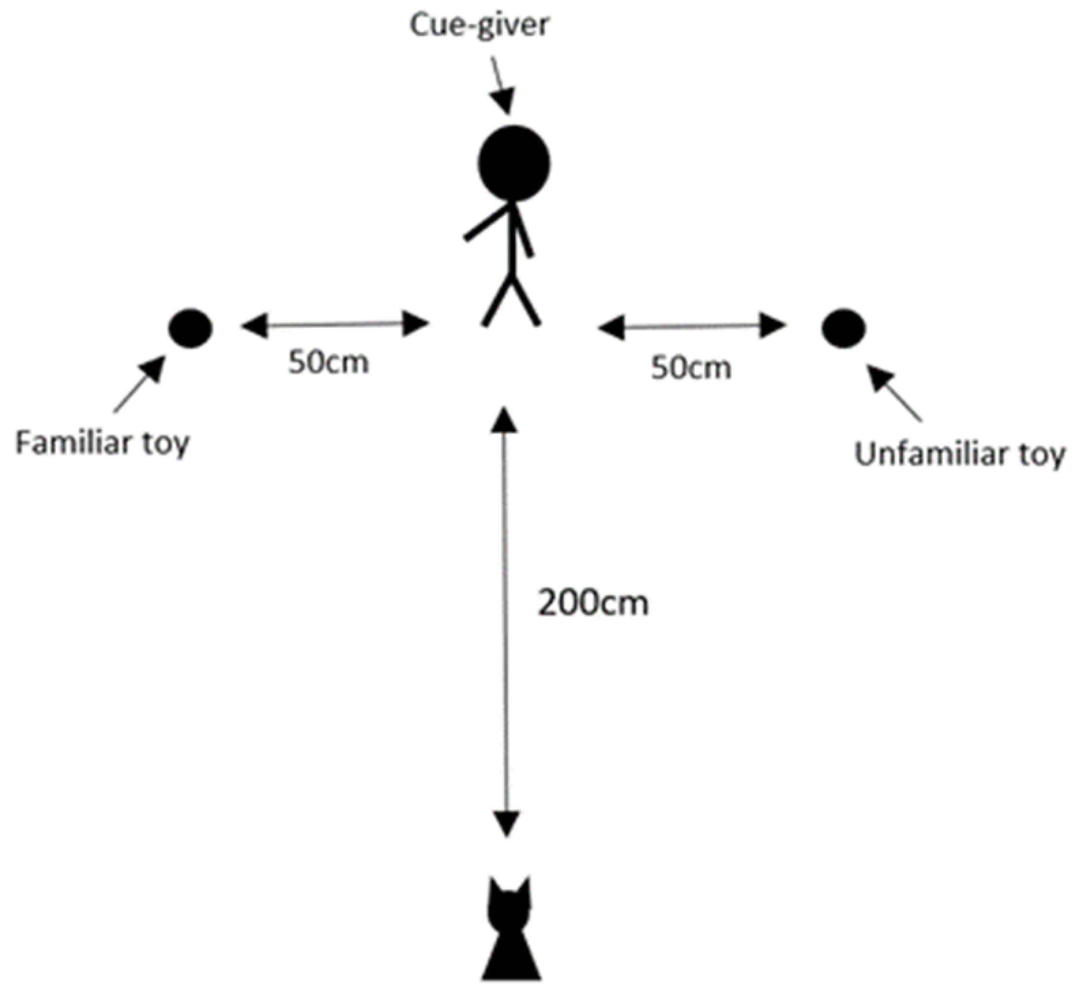 Animals 14 00573 g001