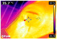 Animals 14 00583 i001