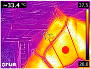 Animals 14 00583 i002