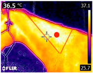 Animals 14 00583 i004