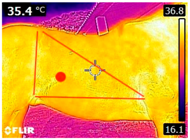 Animals 14 00583 i006