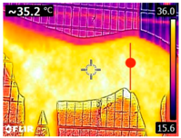 Animals 14 00583 i007