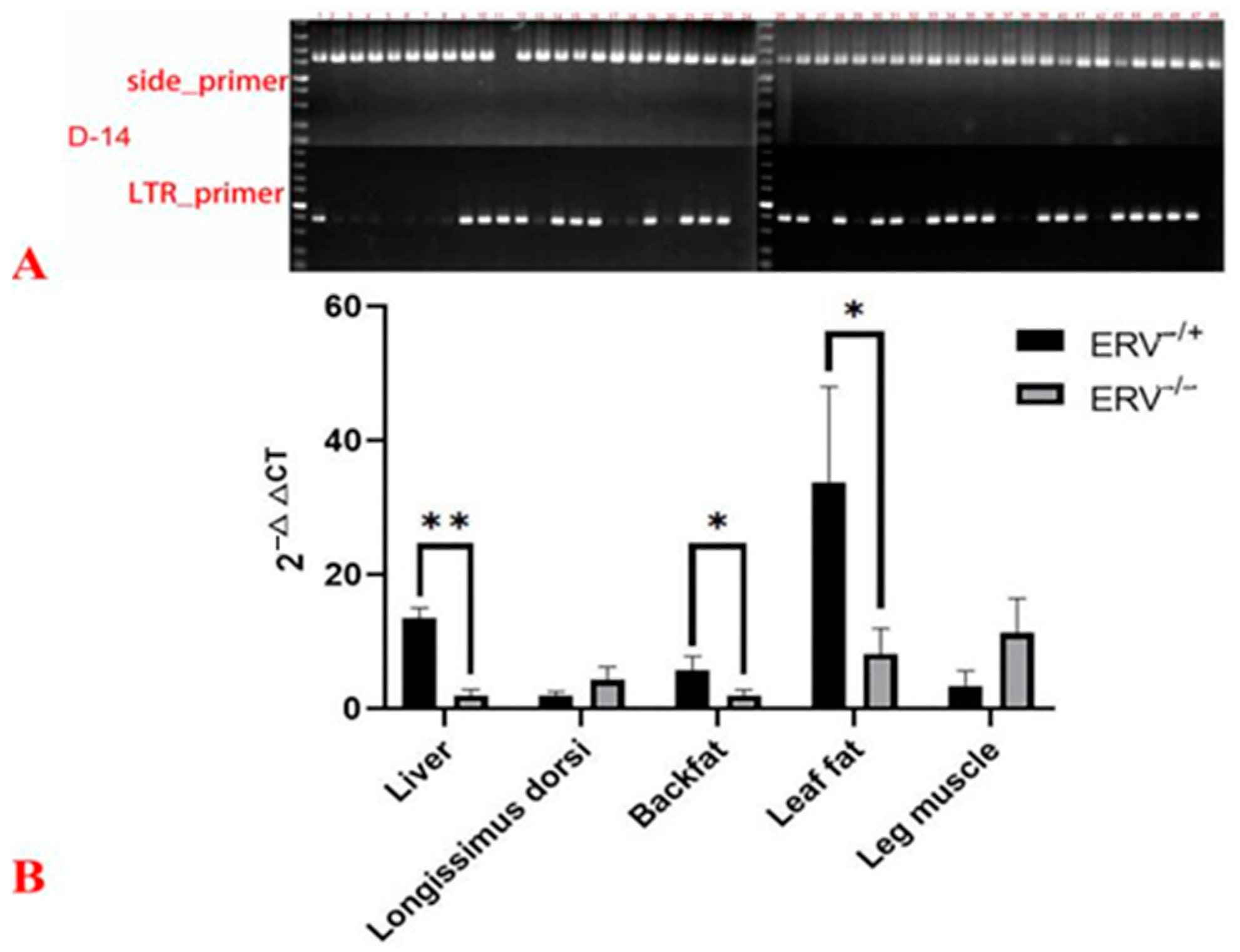 Animals 14 00621 g002