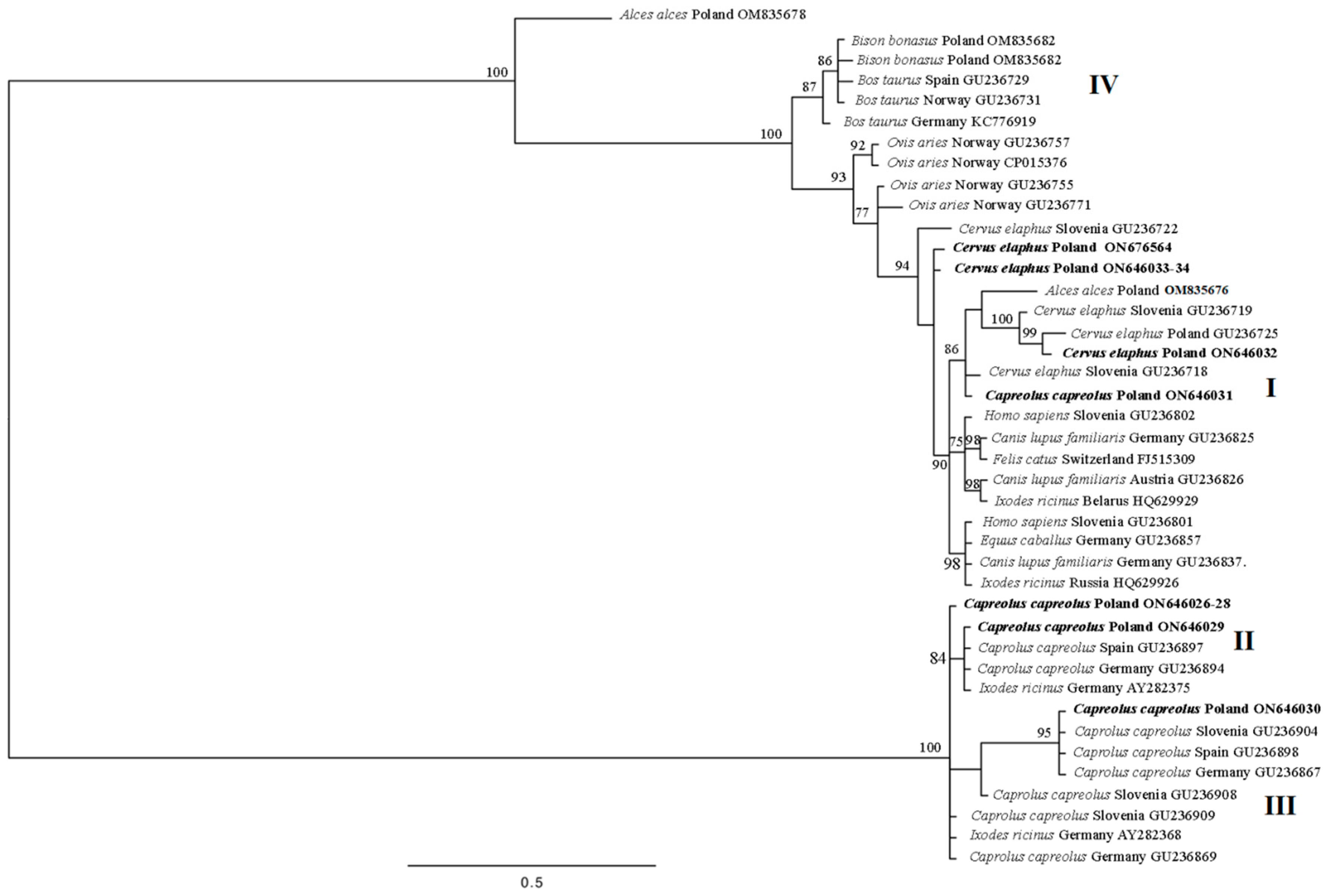 Animals 14 00637 g002 Animals 14 00637 g002