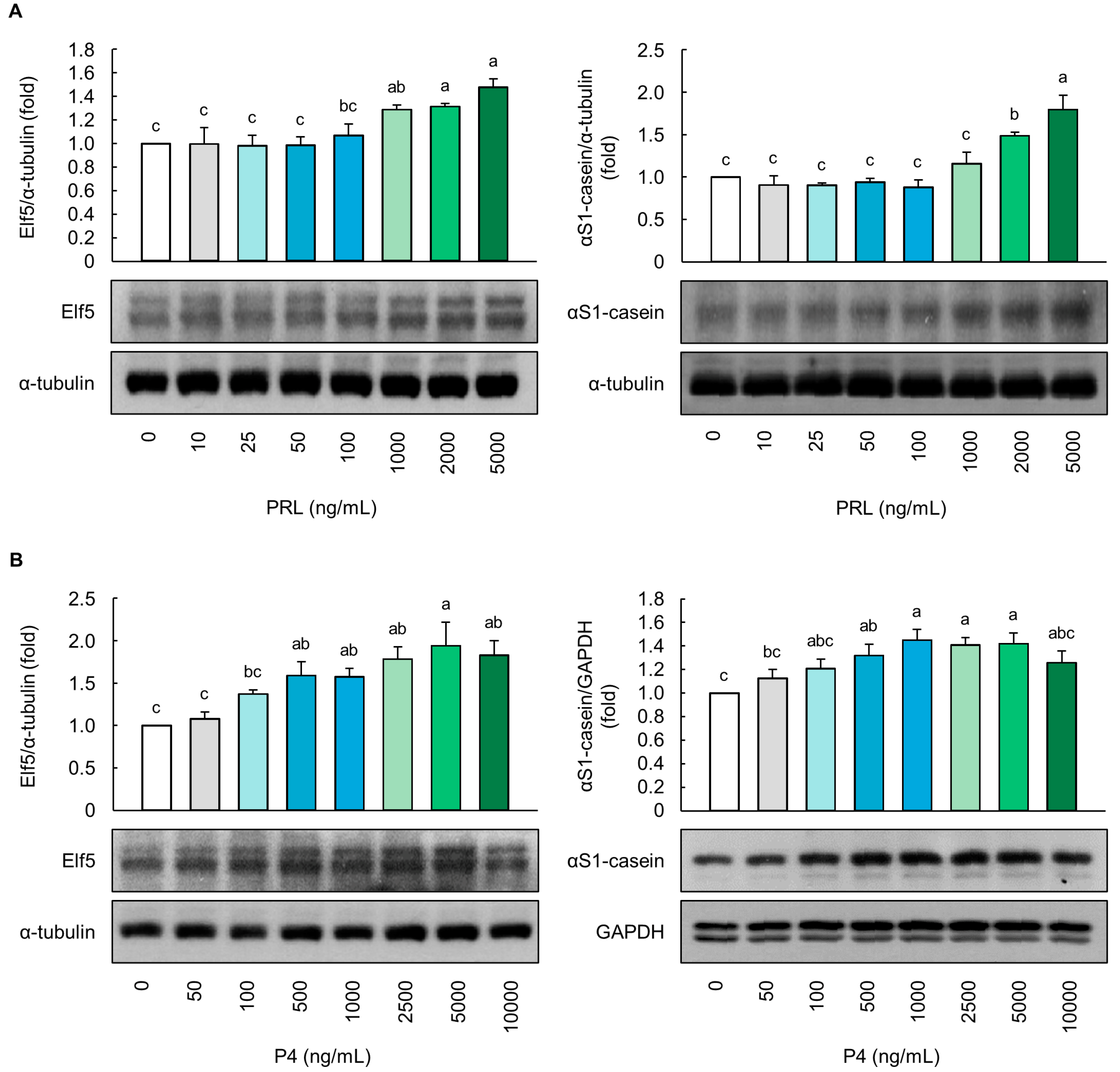Animals 14 00642 g001