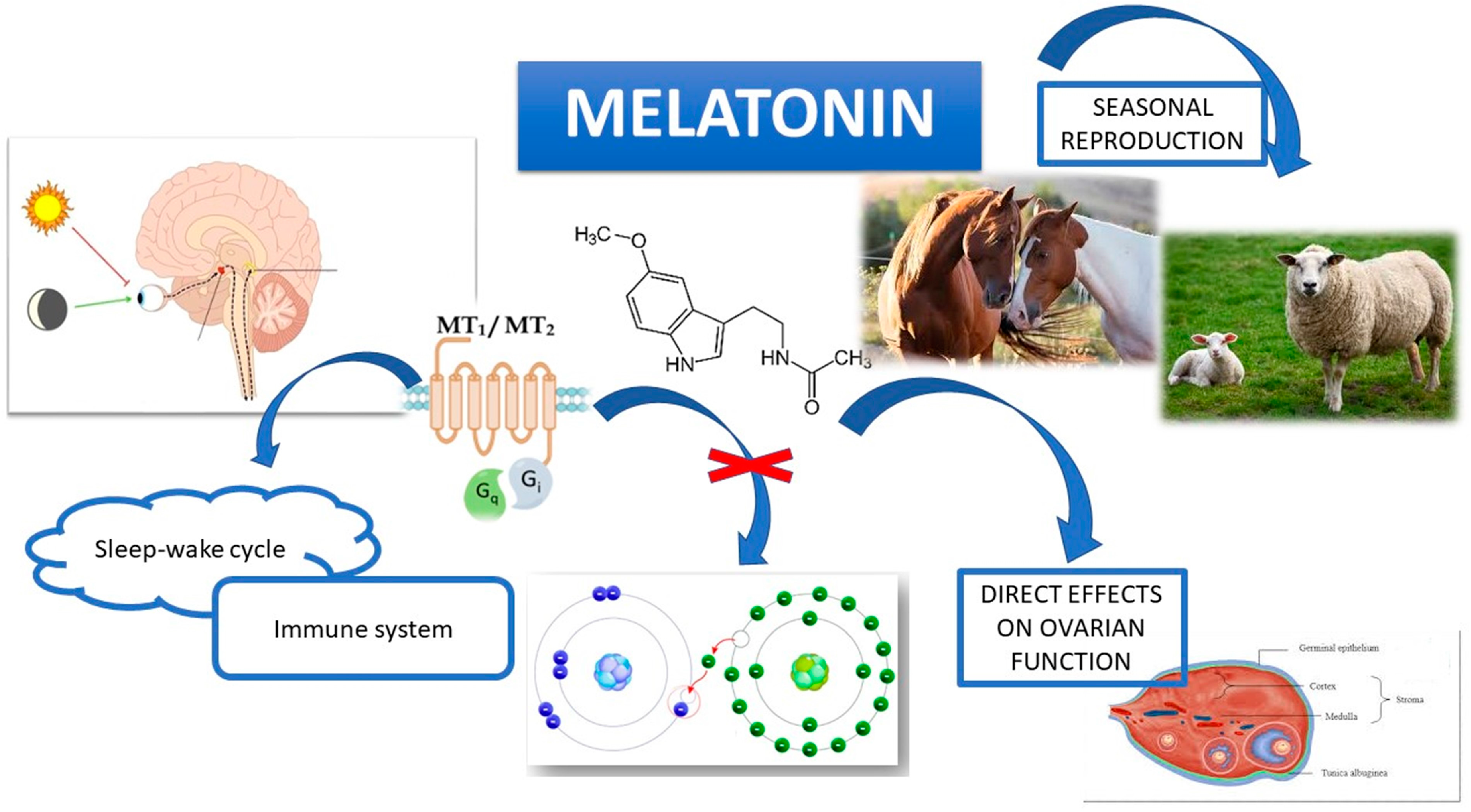 Animals 14 00644 g001