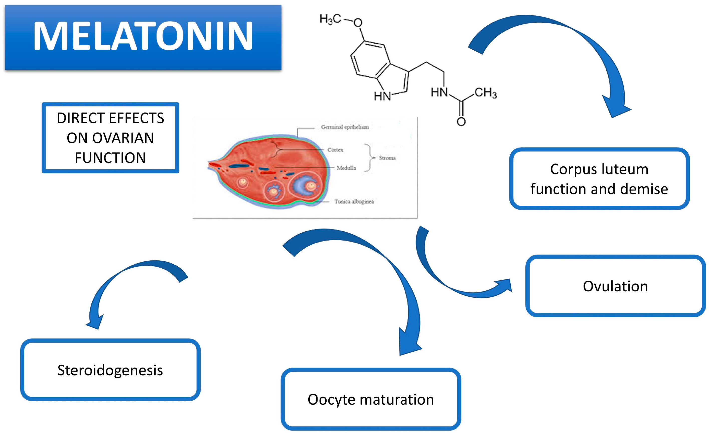 Animals 14 00644 g002