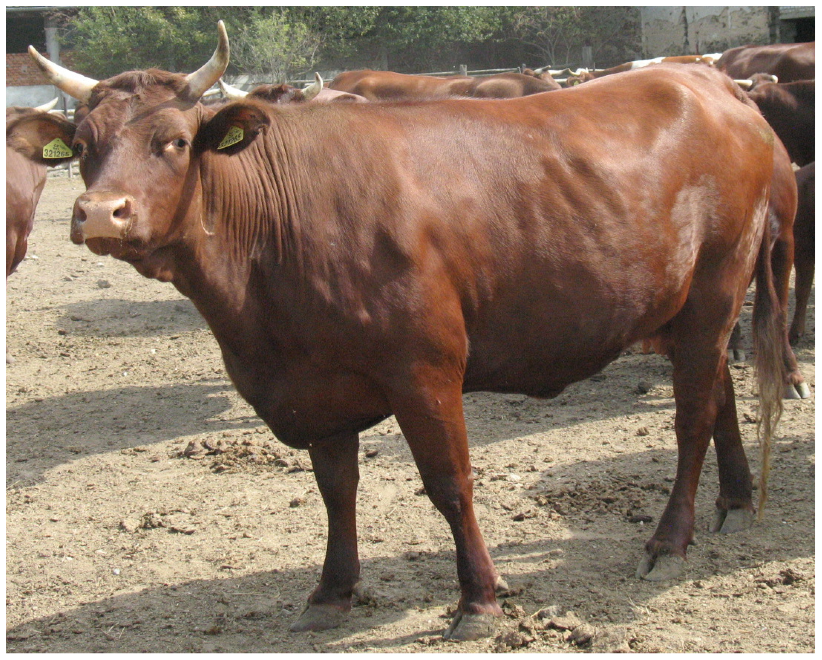 Animals 14 00645 g002 Animals 14 00645 g002