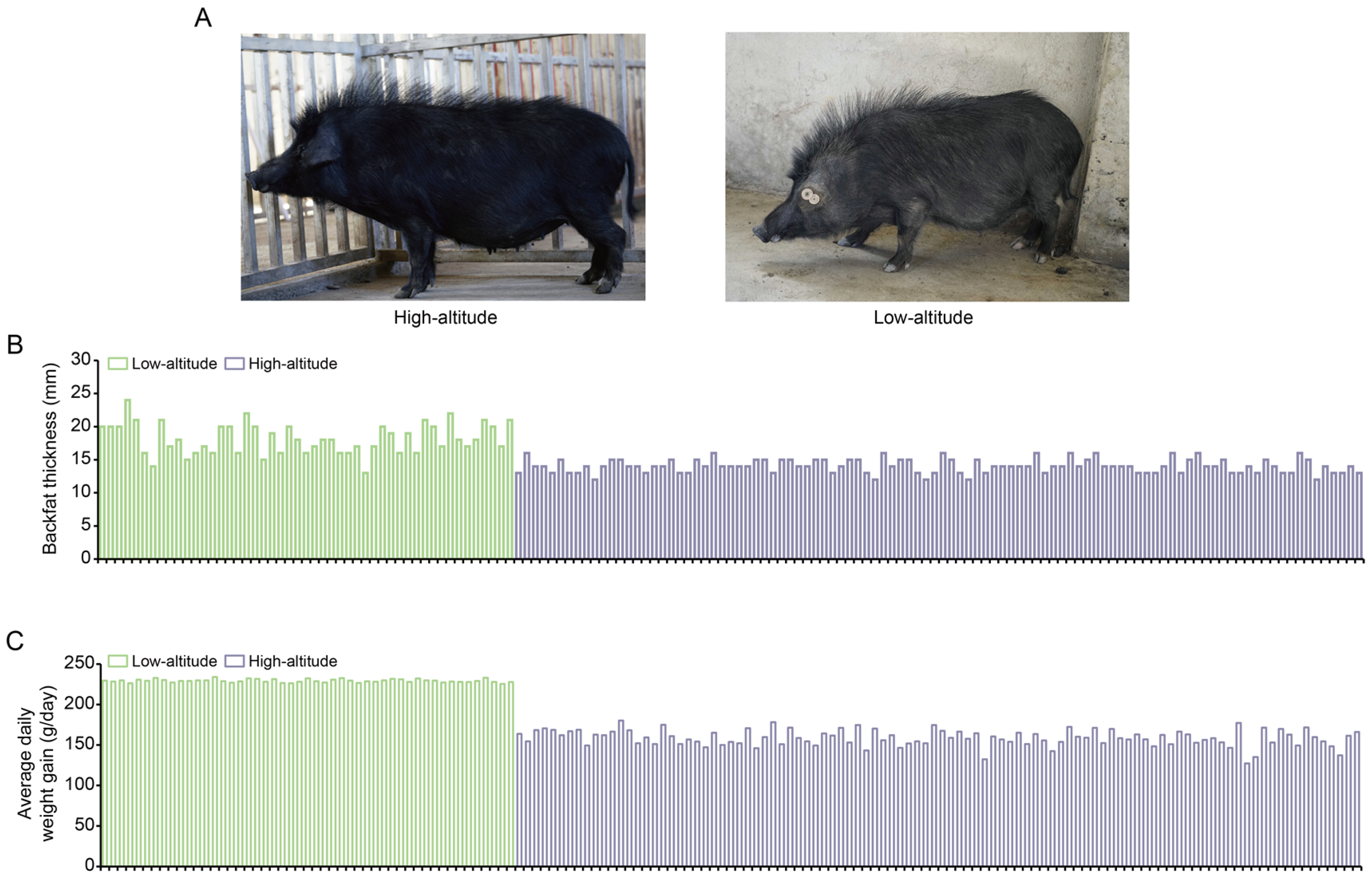 Animals 14 00654 g001