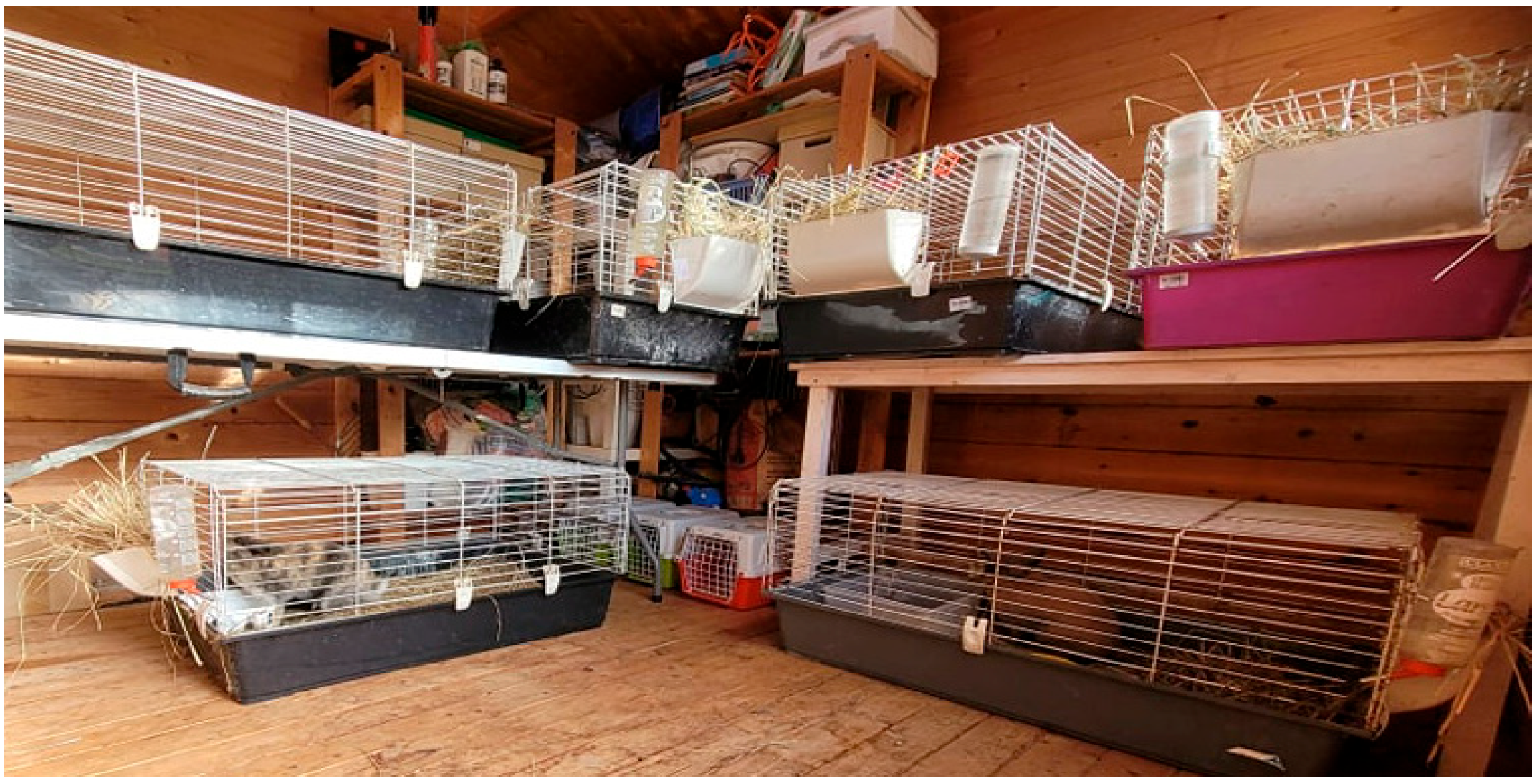 Animals 14 00664 g001