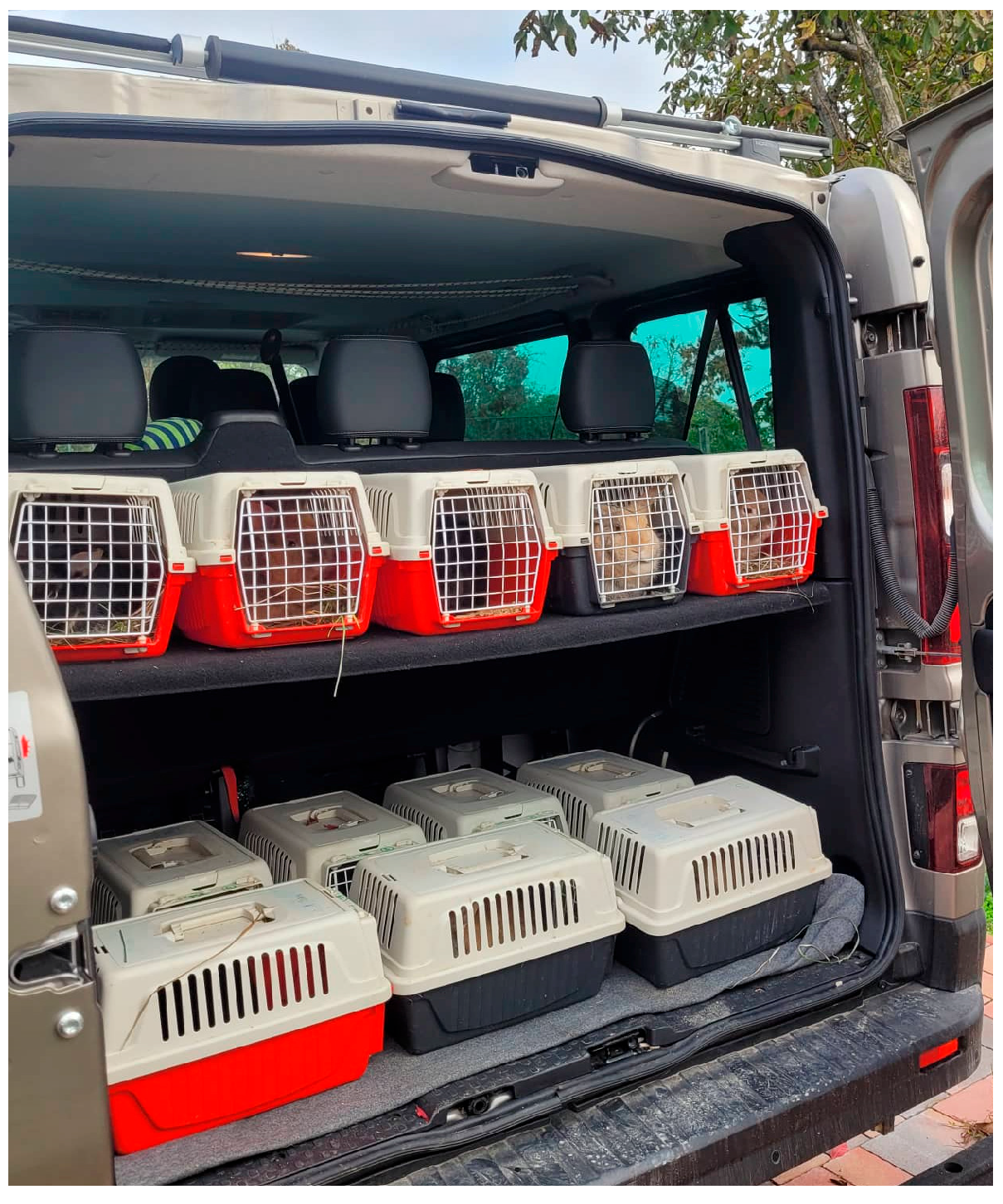 Animals 14 00664 g003