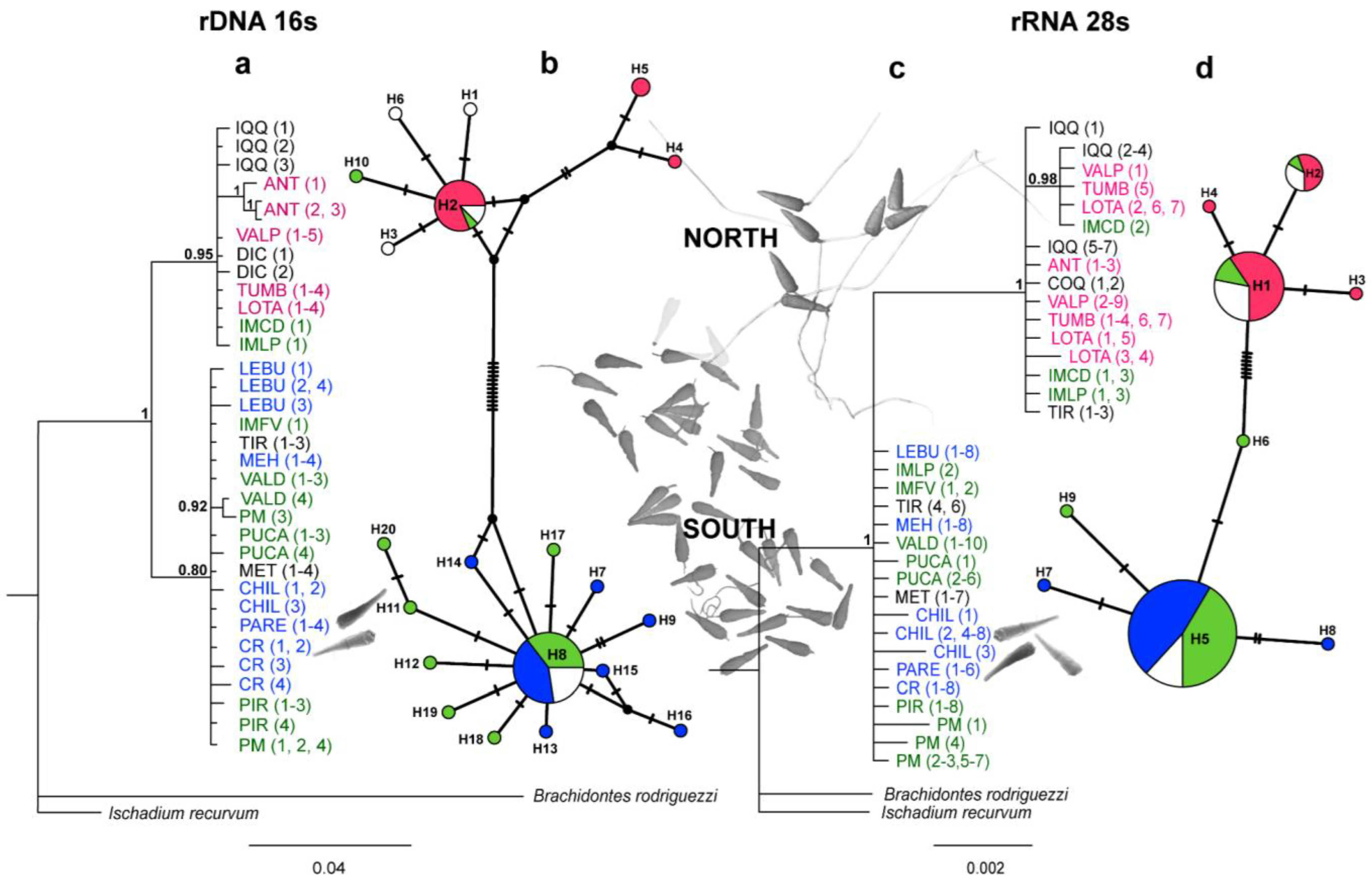 Animals 14 00674 g004