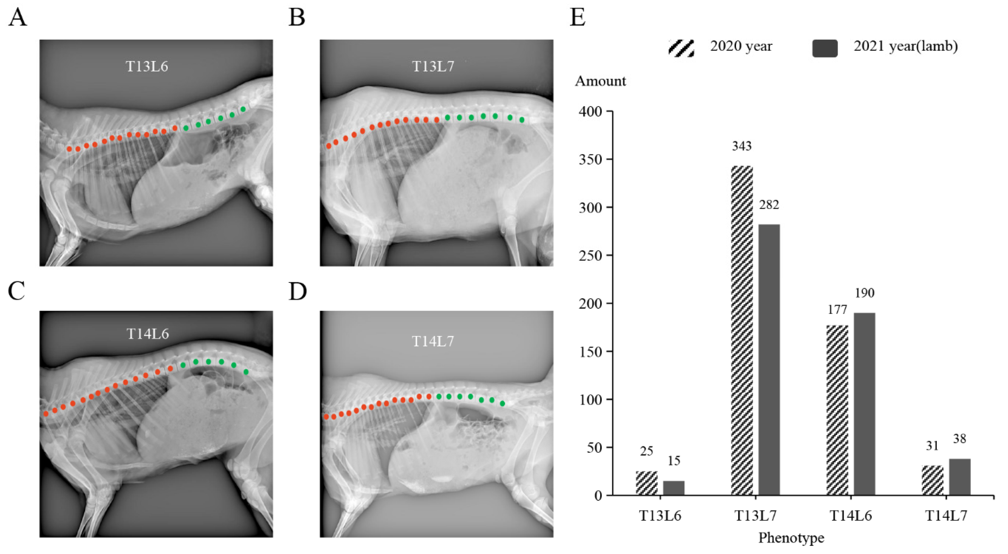 Animals 14 00677 g001