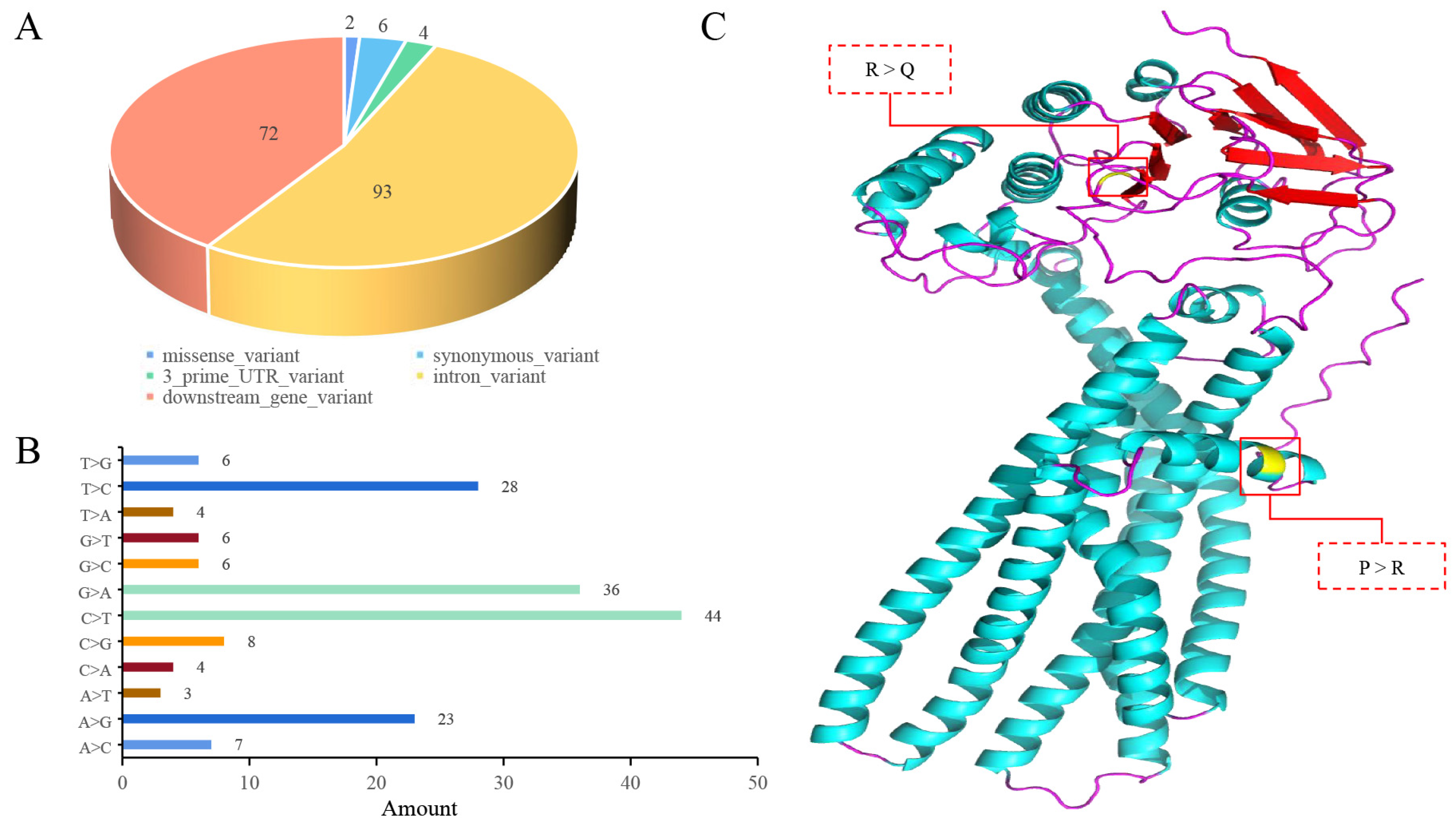 Animals 14 00677 g004