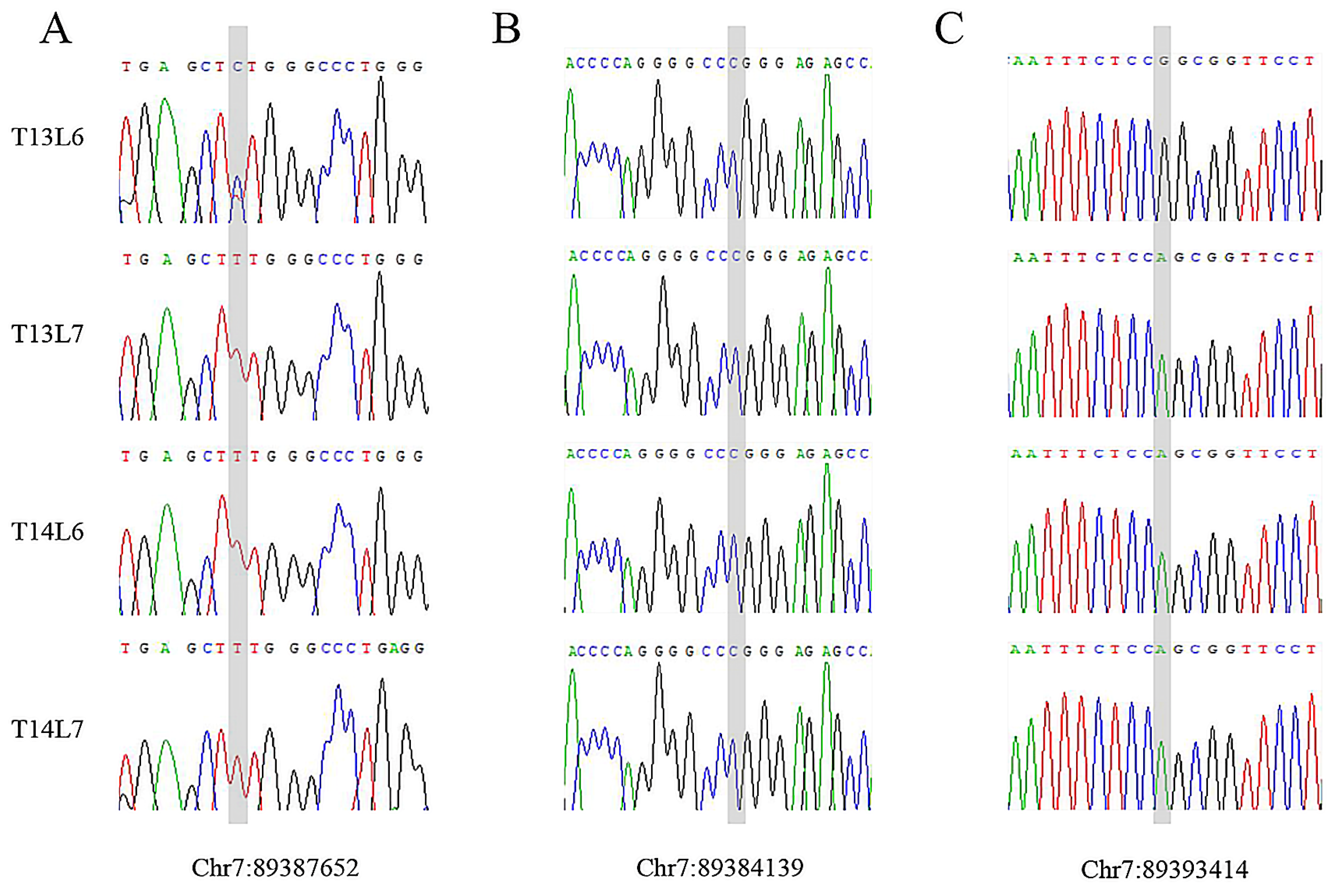 Animals 14 00677 g005