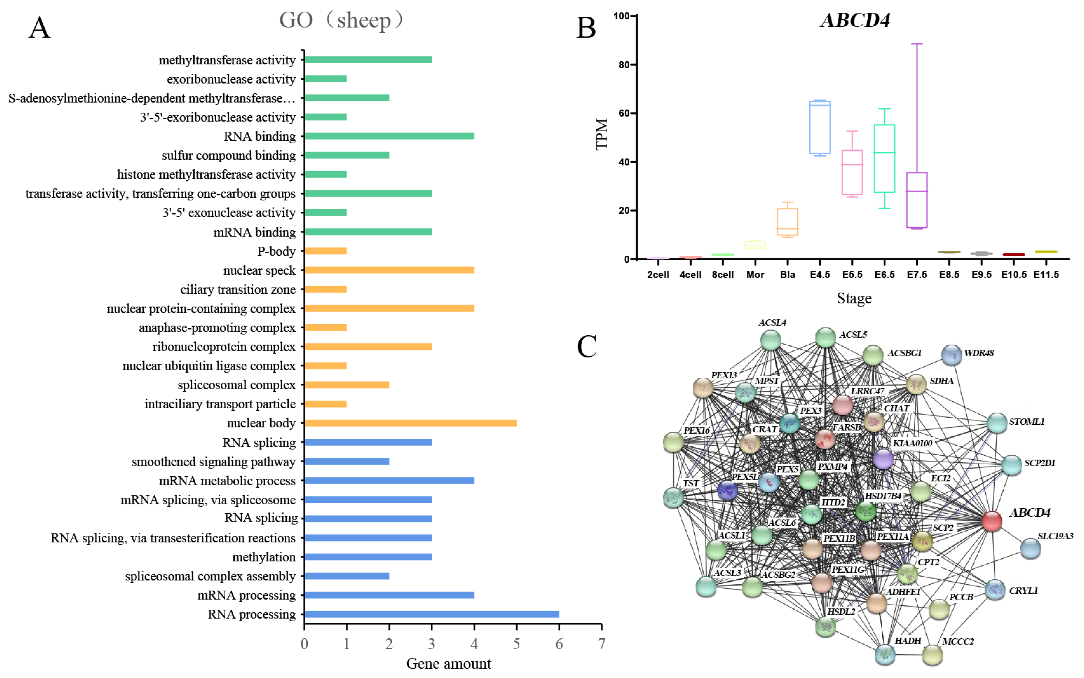 Animals 14 00677 g006
