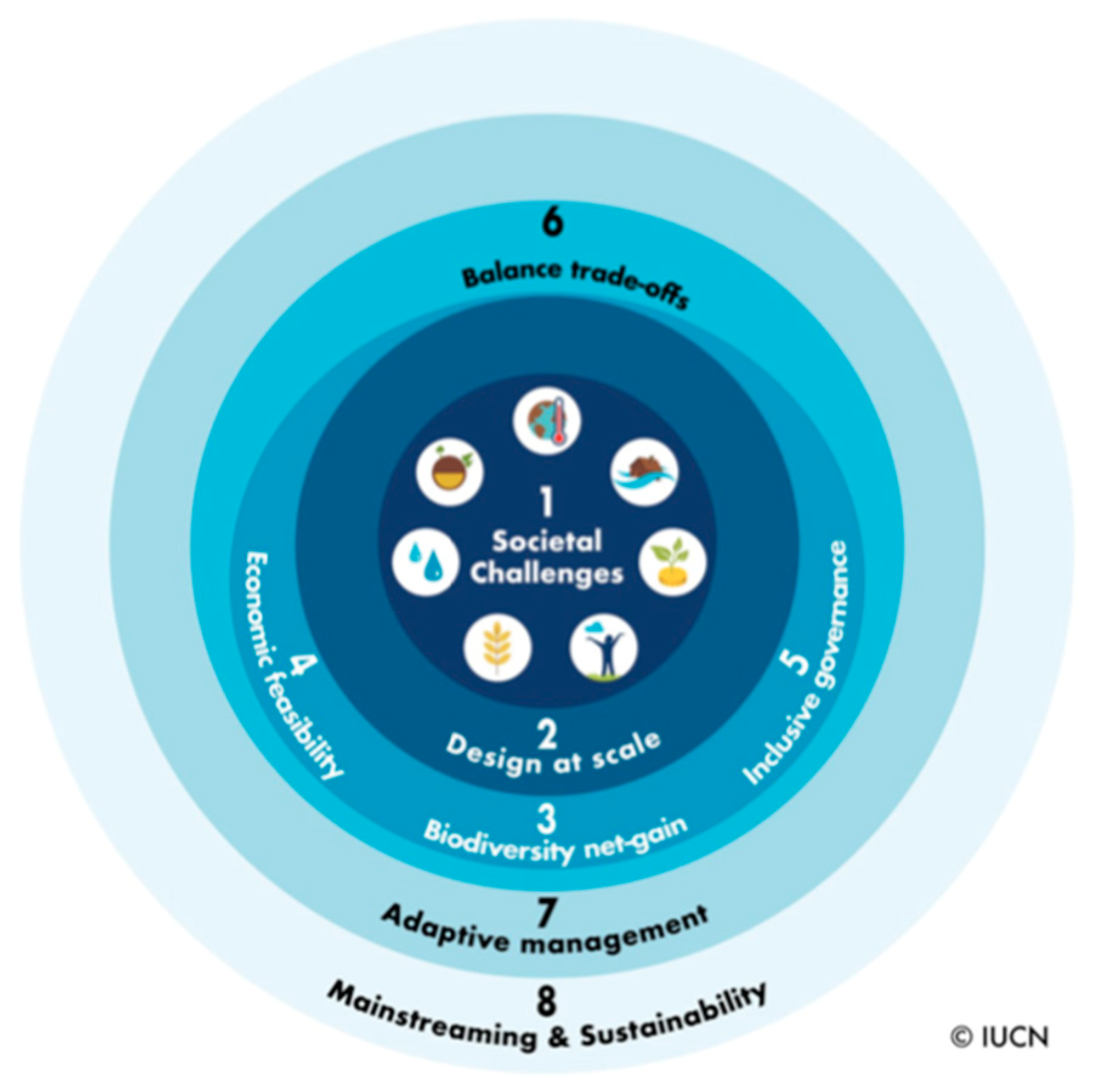 Animals 14 00680 g001