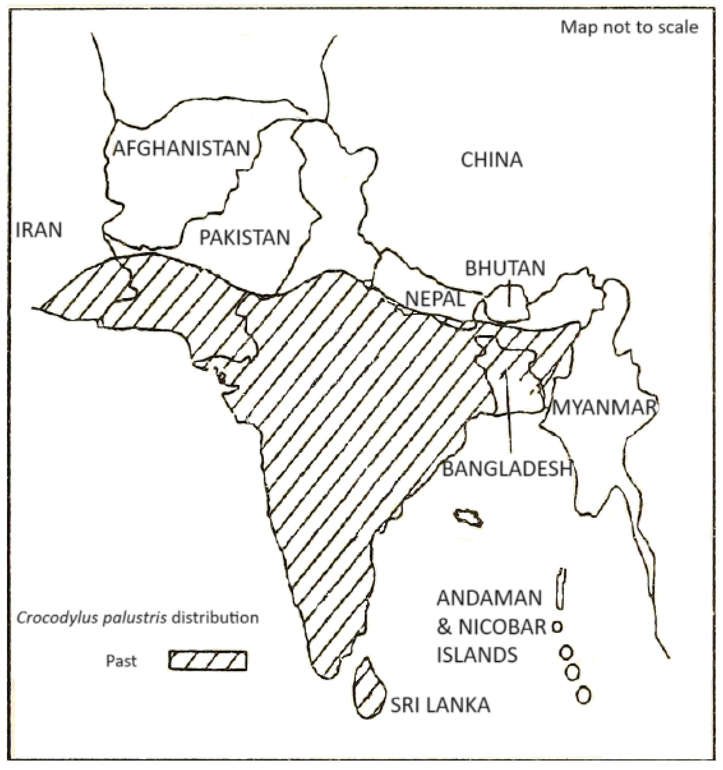 Animals 14 00691 g001