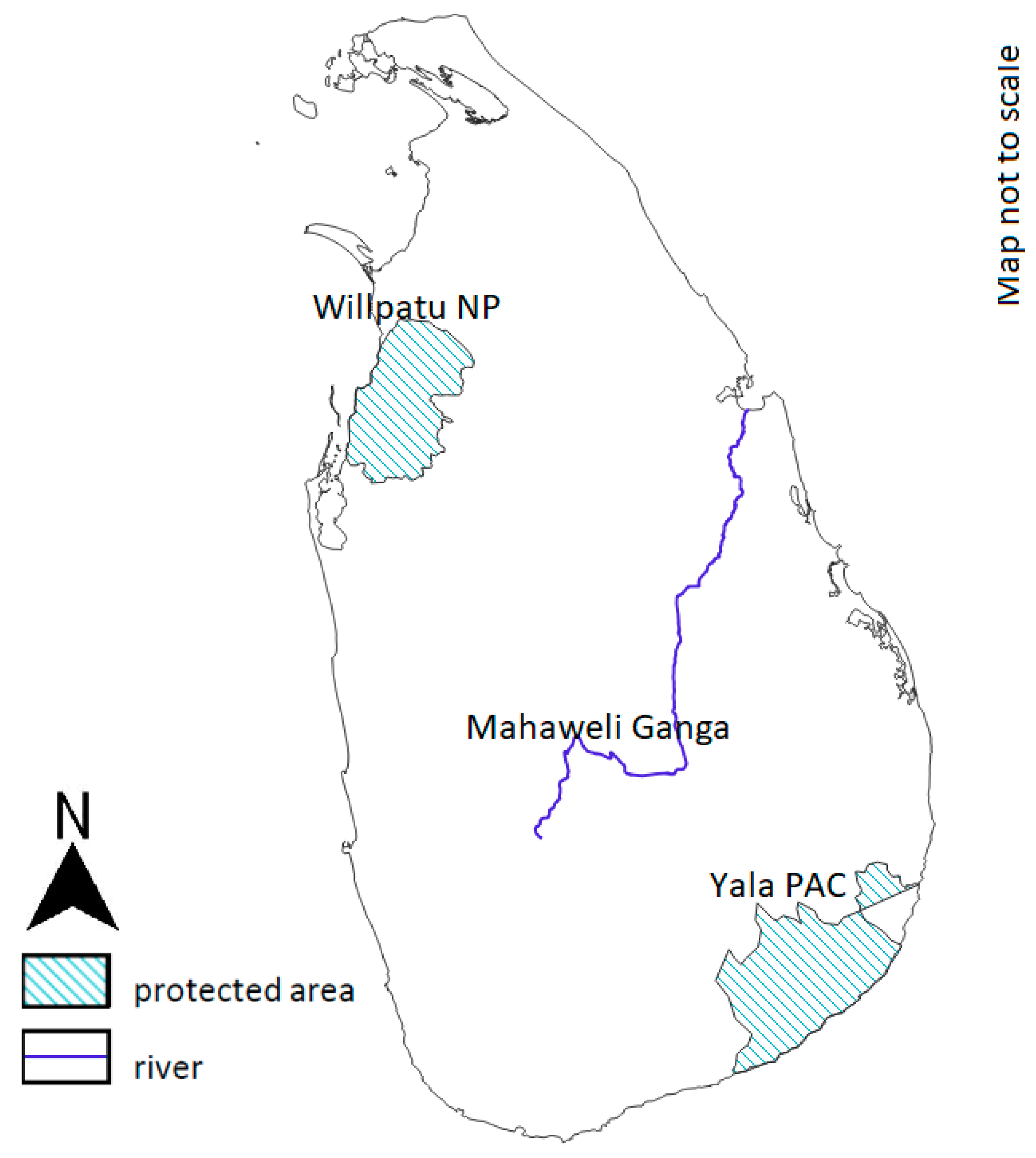 Animals 14 00691 g002