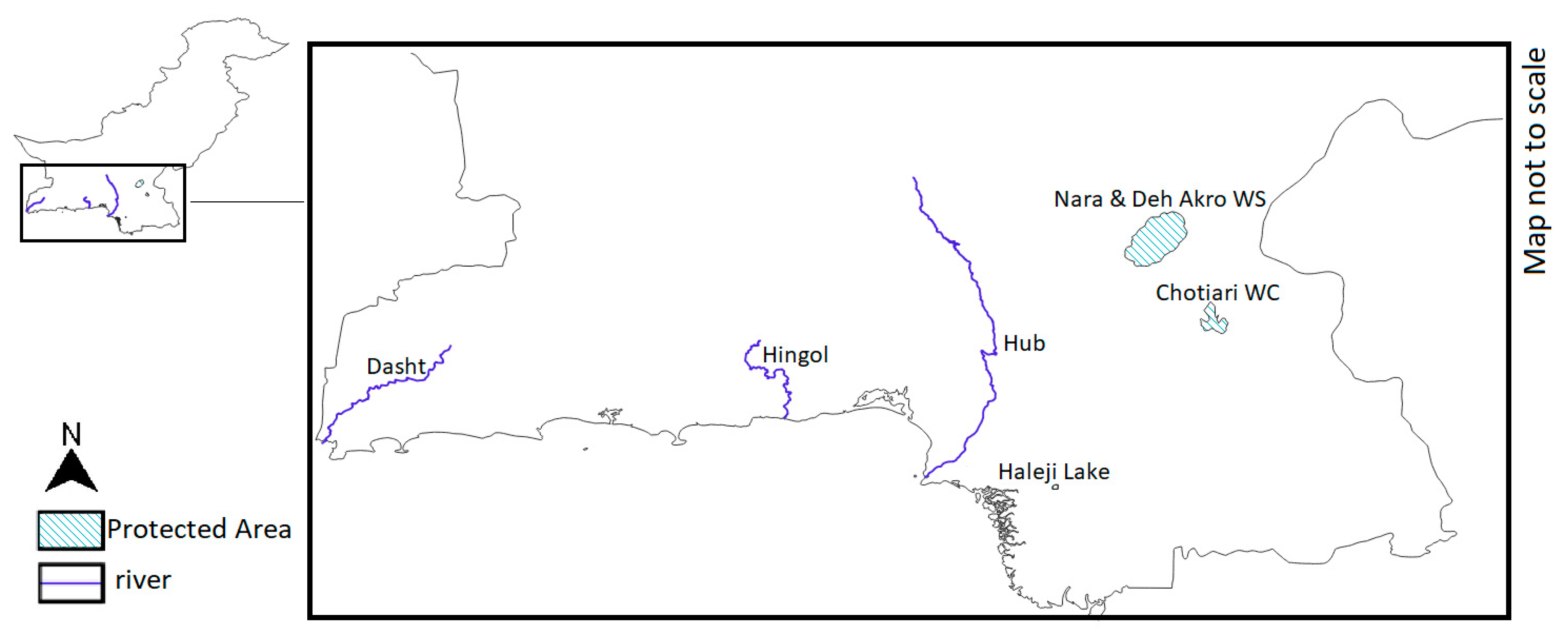 Animals 14 00691 g004