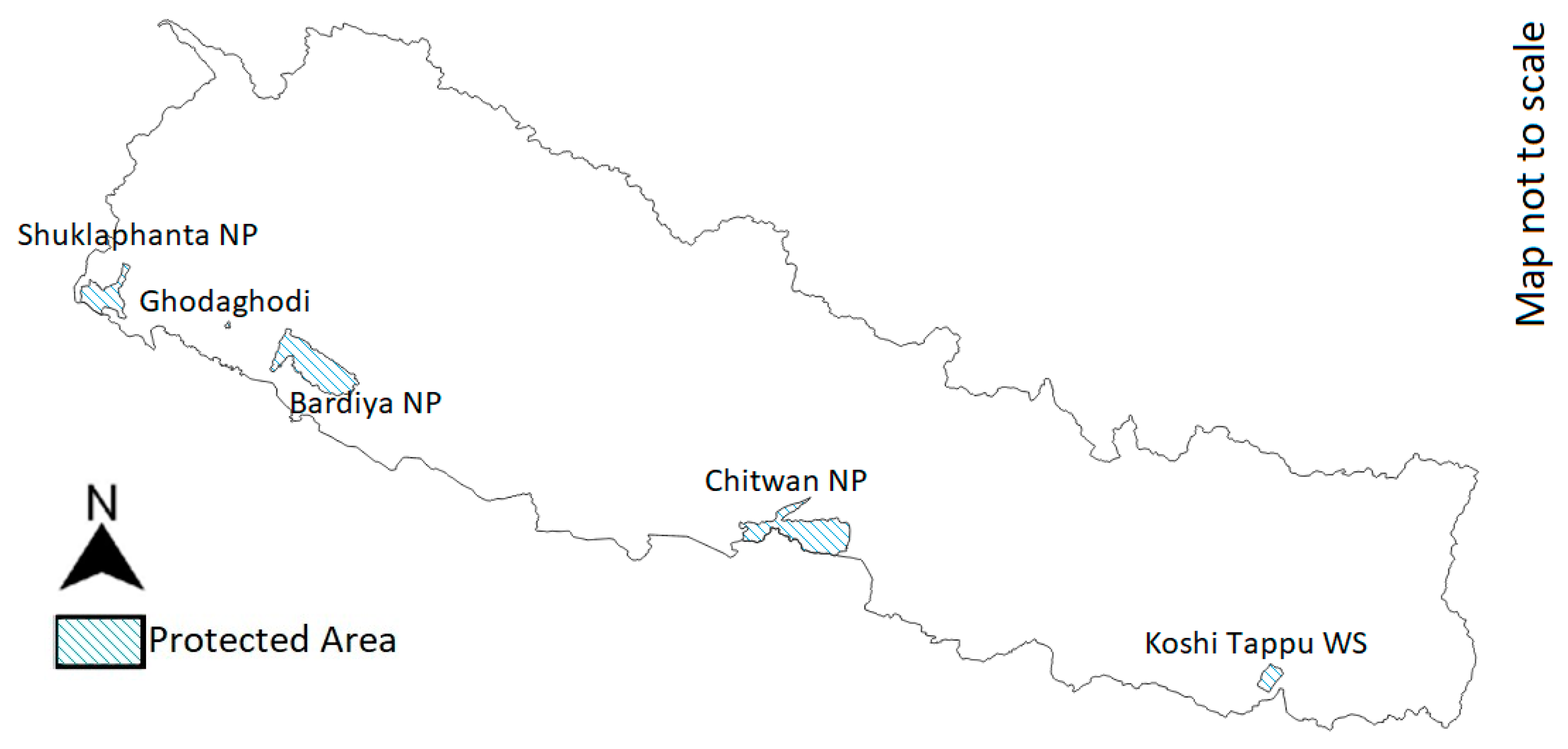 Animals 14 00691 g005