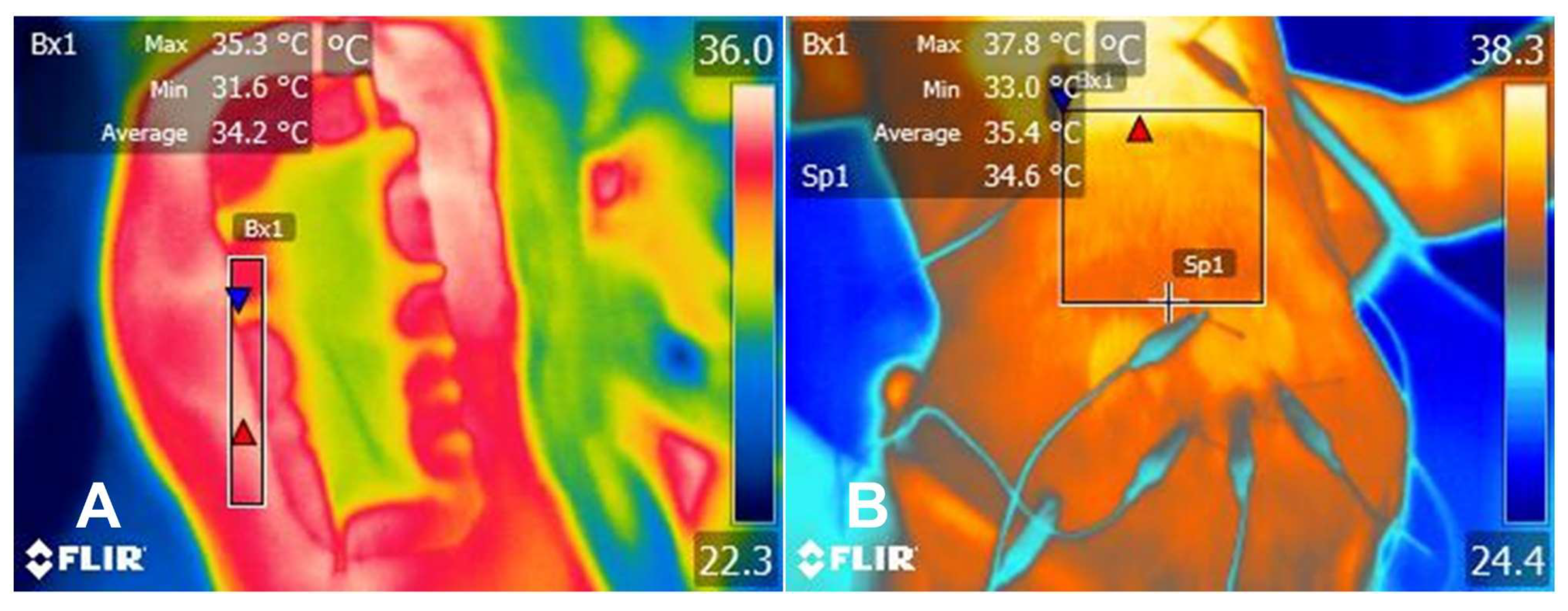 Animals 14 00696 g002