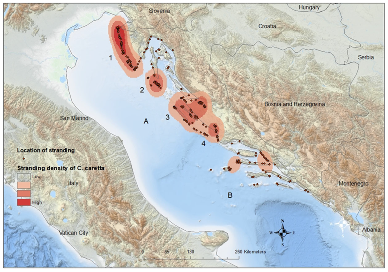 Animals 14 00703 g003