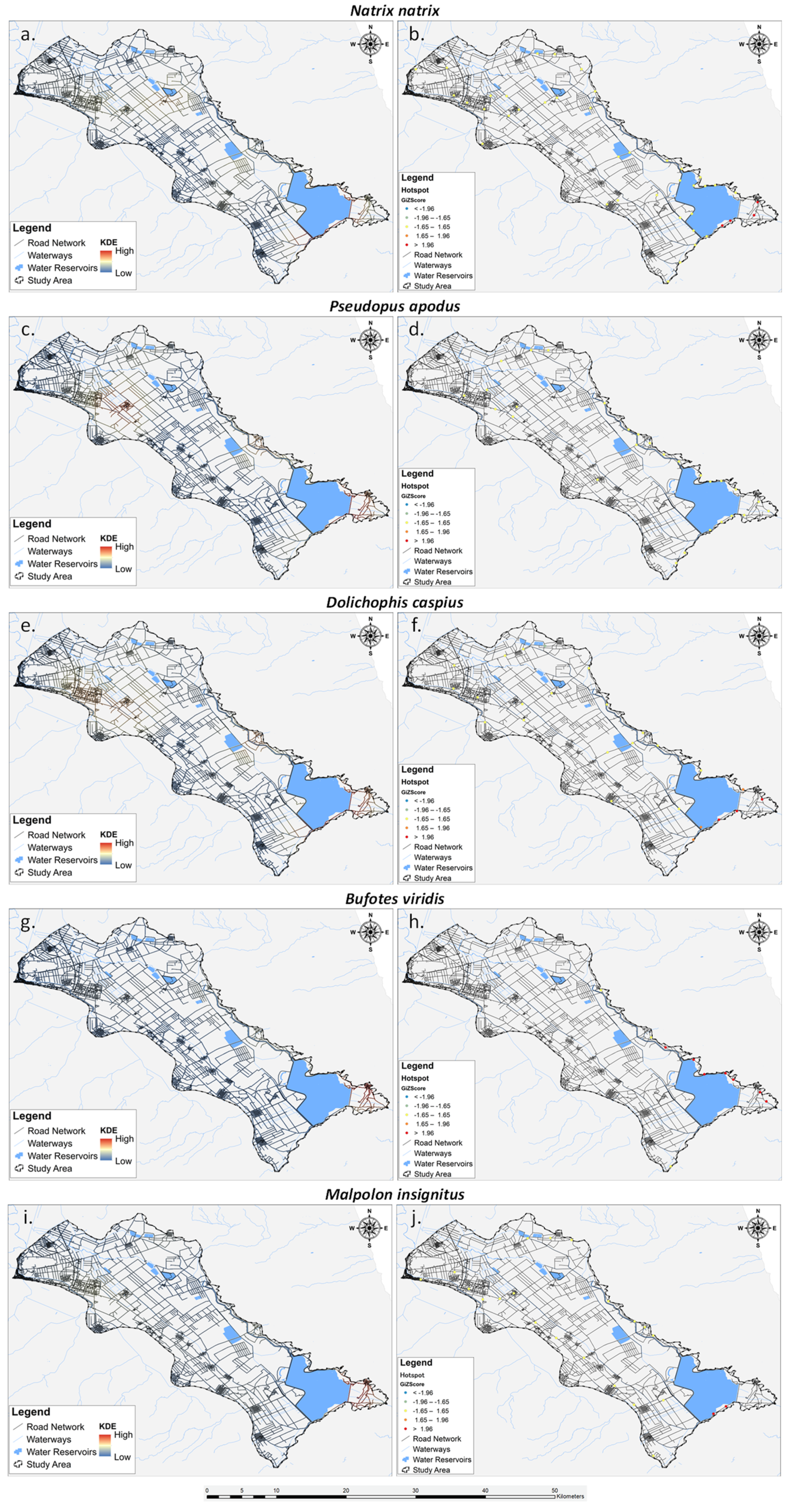 Animals 14 00708 g006