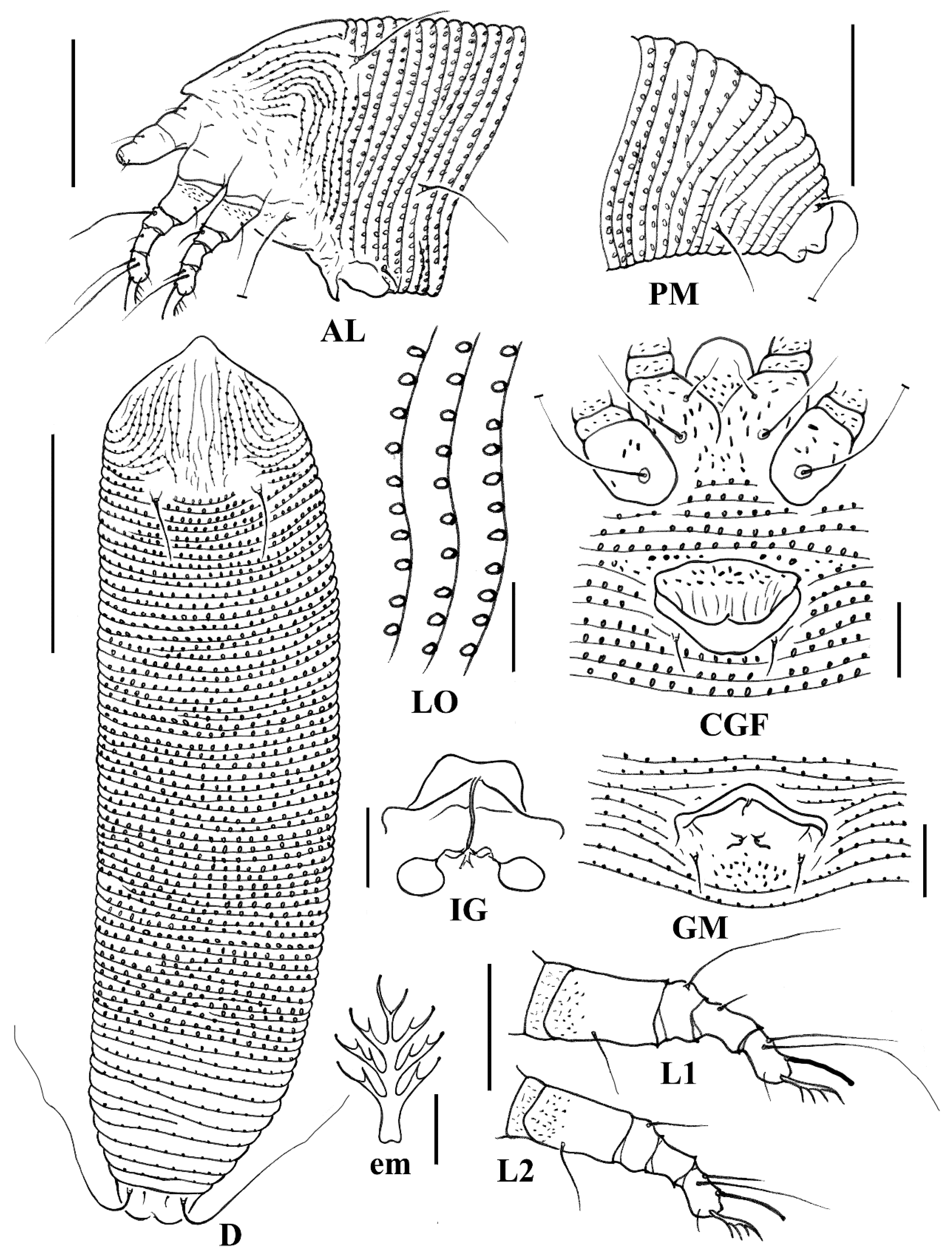 Animals 14 00720 g004