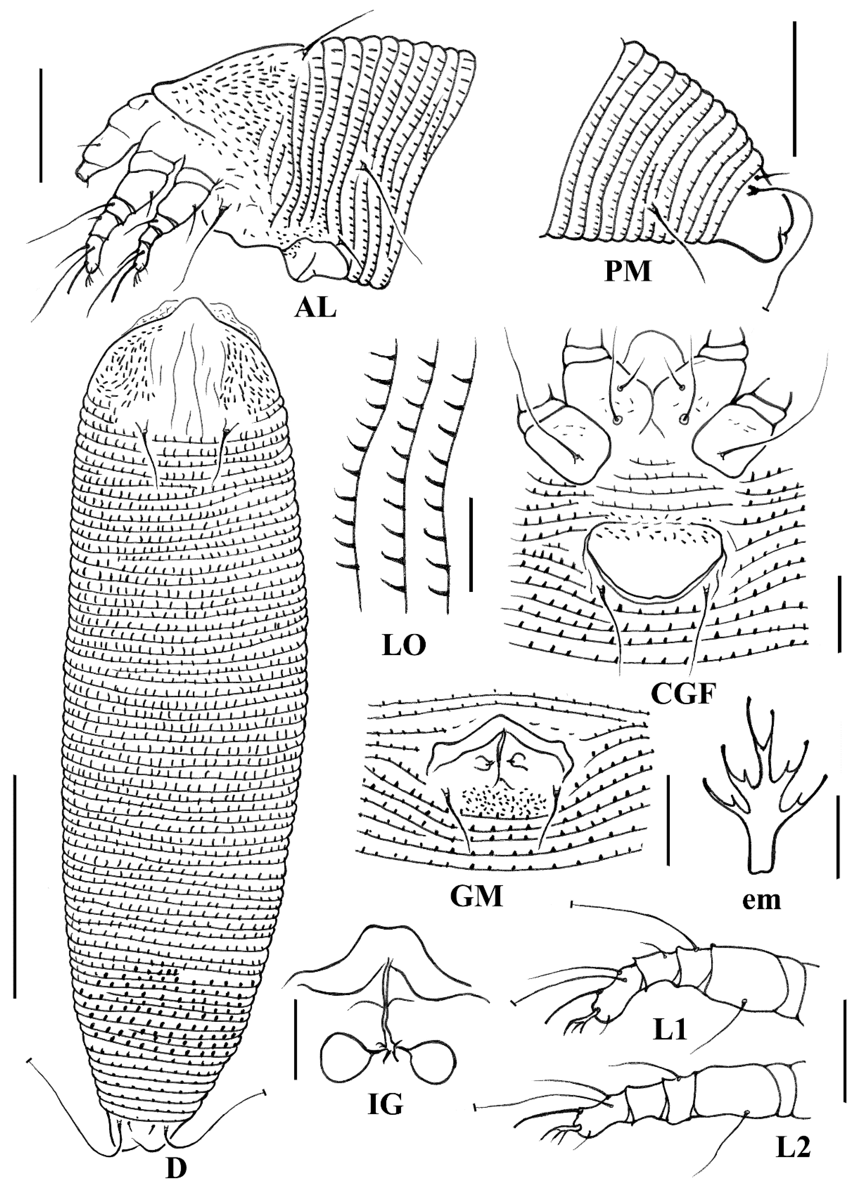 Animals 14 00720 g006