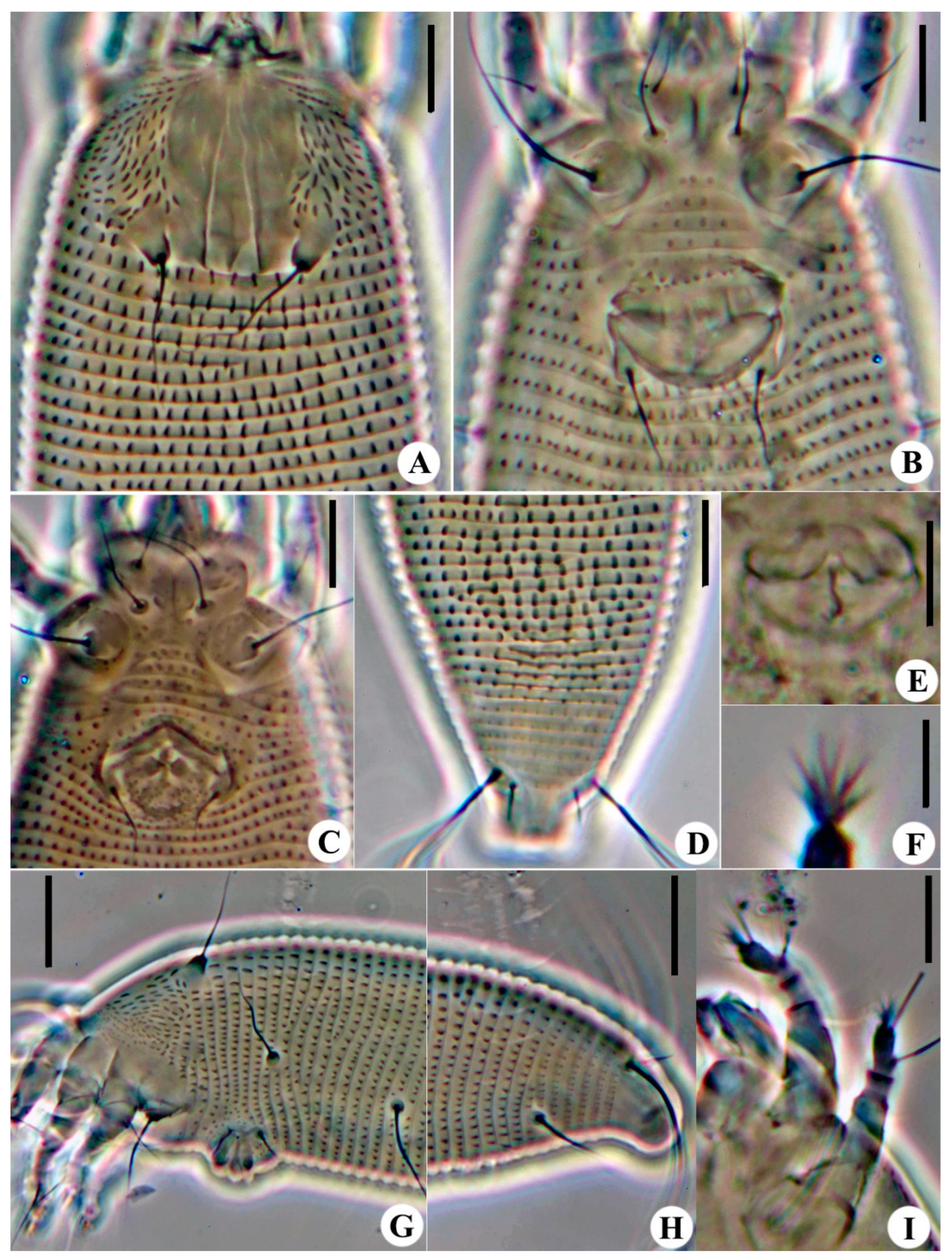 Animals 14 00720 g007