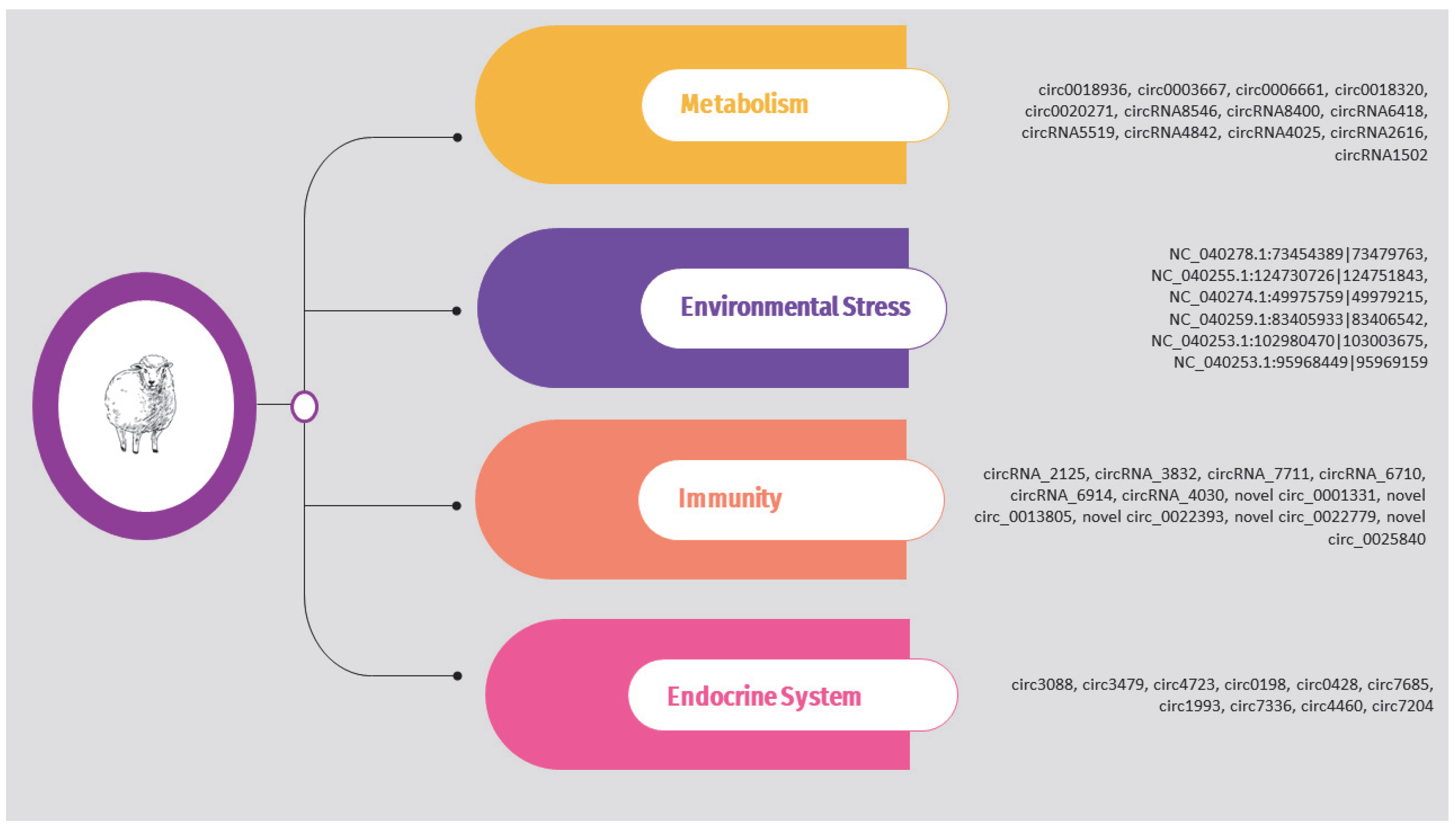 Animals 14 00733 g004