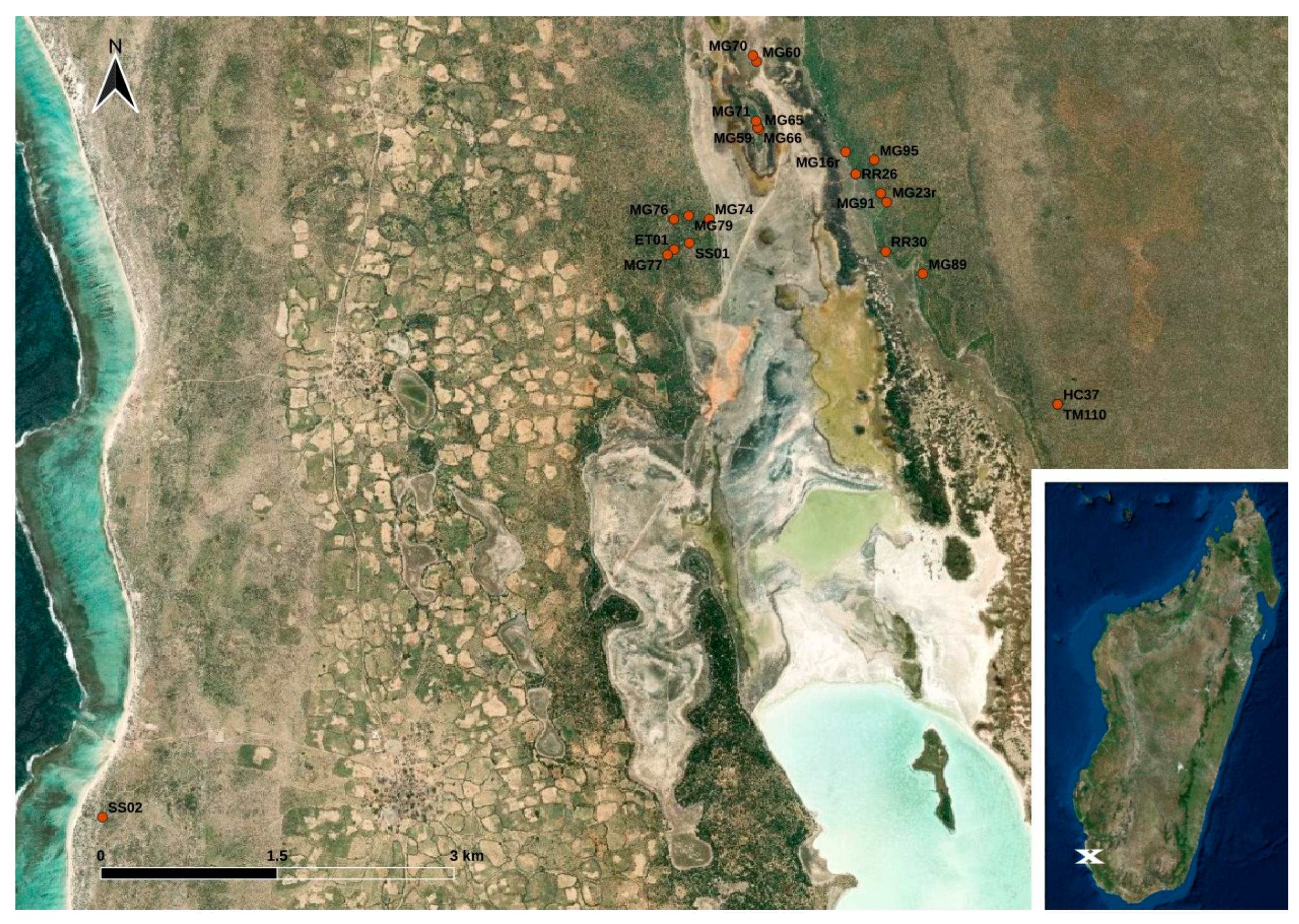 Animals 14 00741 g001 Animals 14 00741 g001