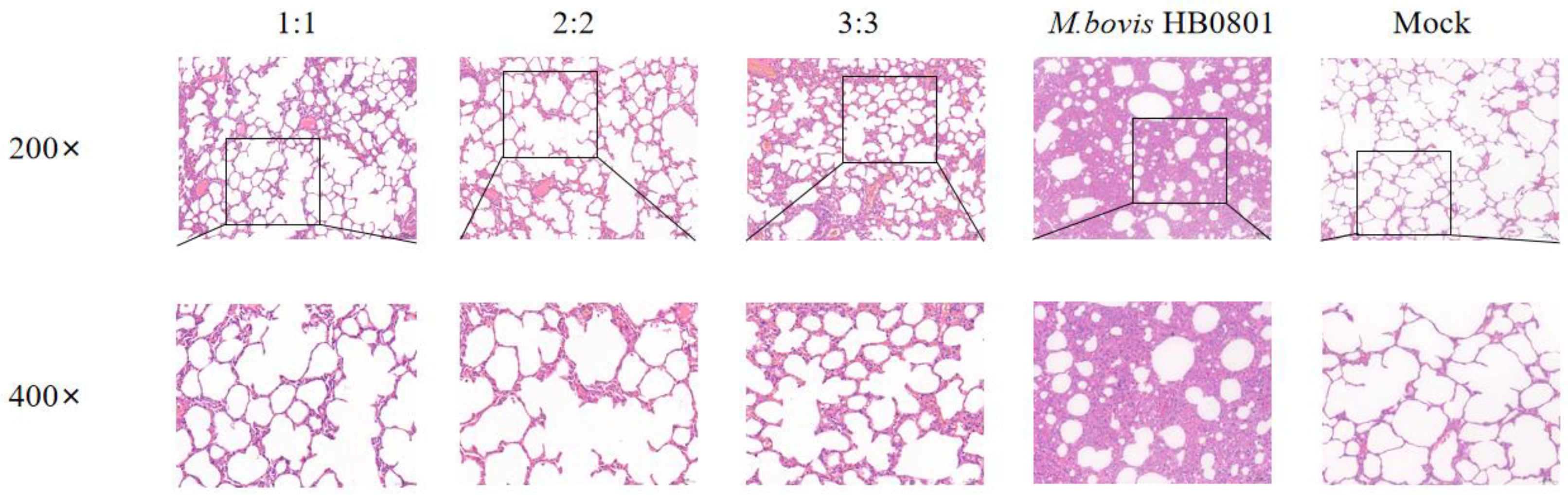 Animals 14 00748 g006