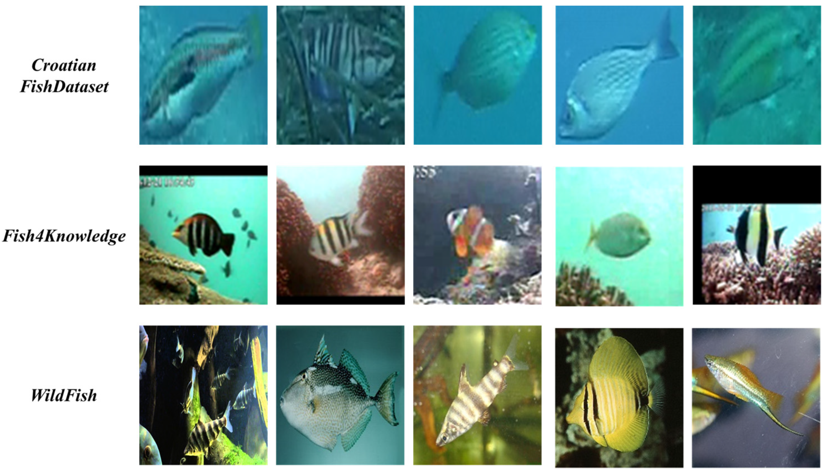 Animals 14 00755 g001