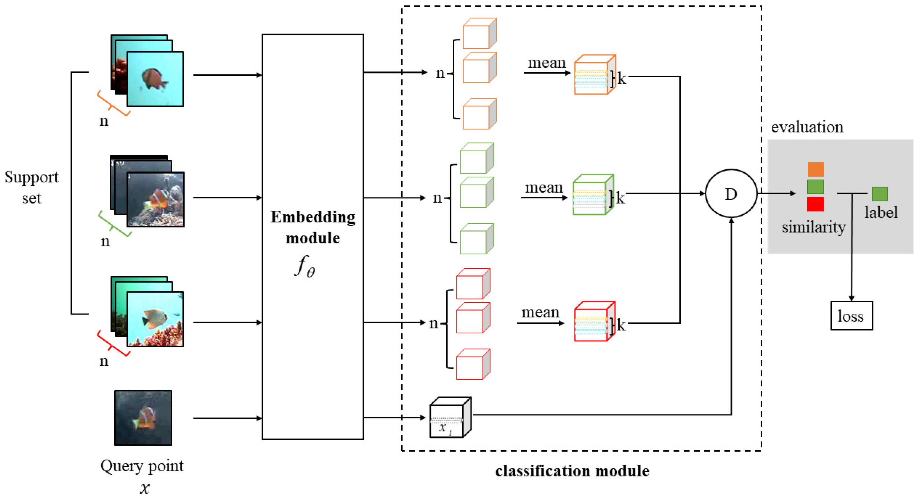 Animals 14 00755 g002