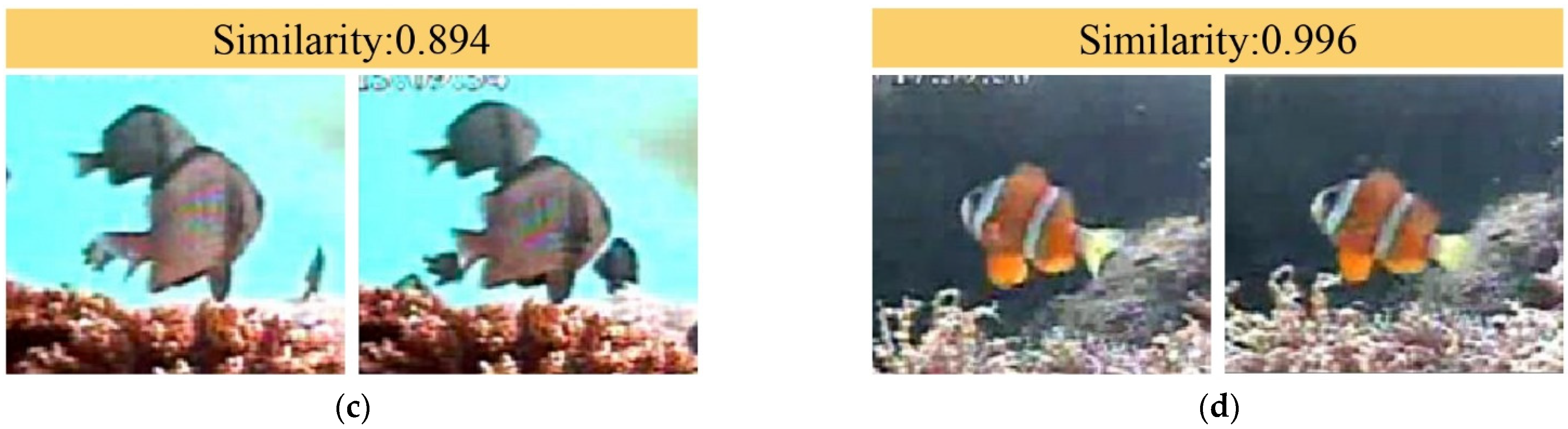 Animals 14 00755 g008b