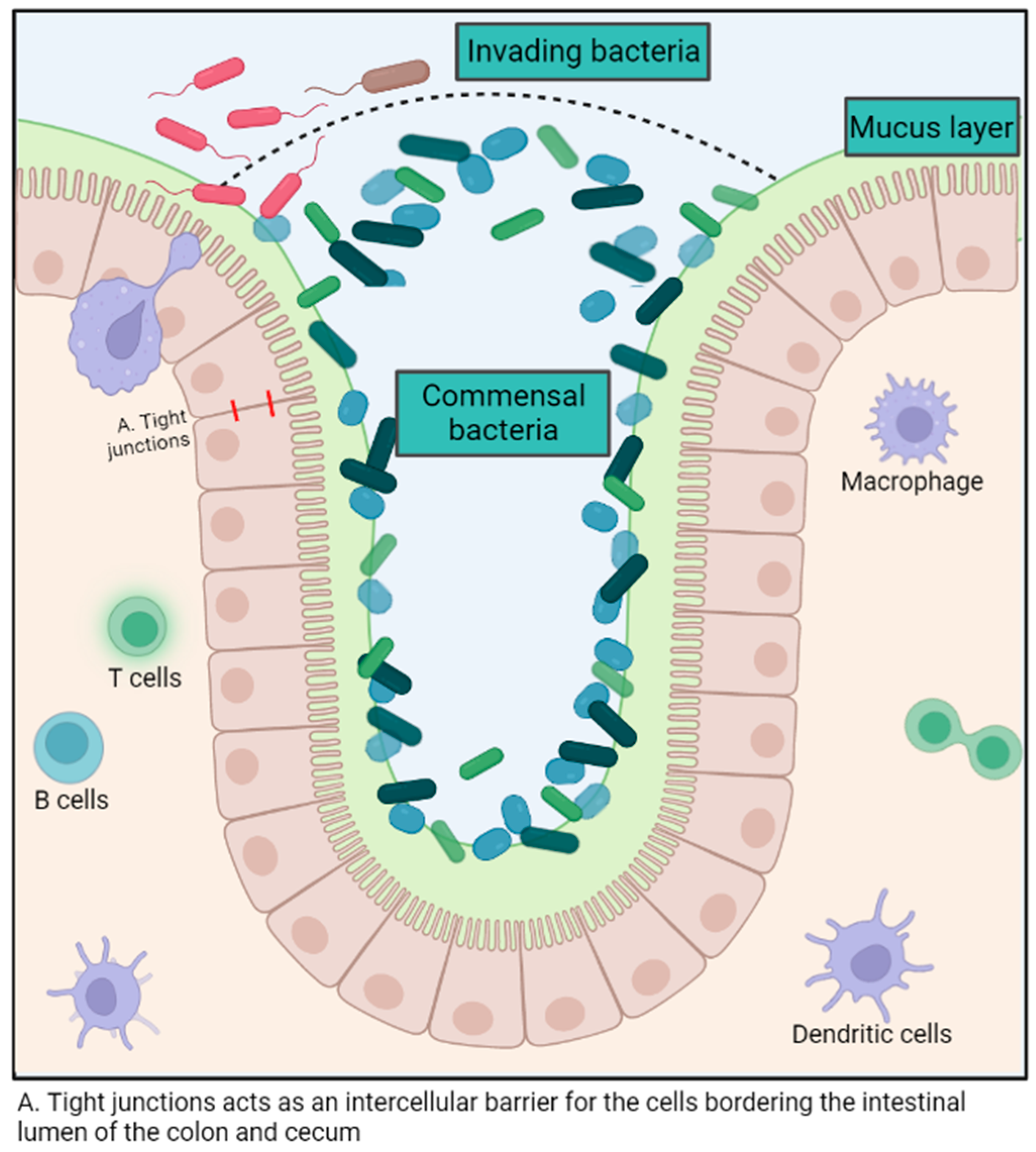 Animals 14 00758 g001