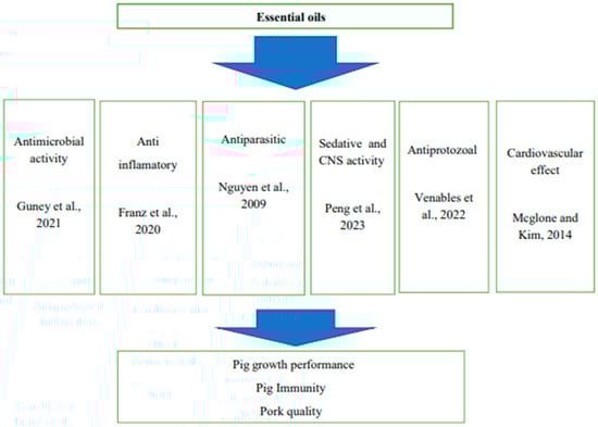 Animals 14 00762 g002