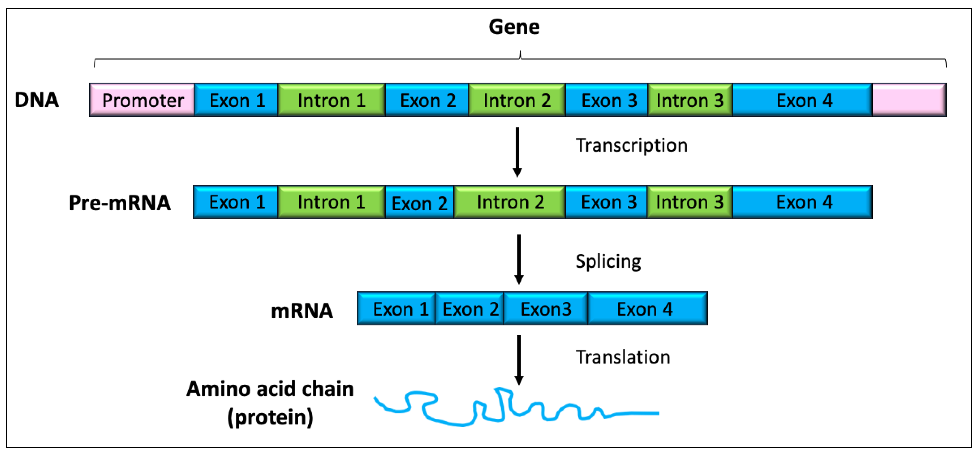 Animals 14 00769 g002
