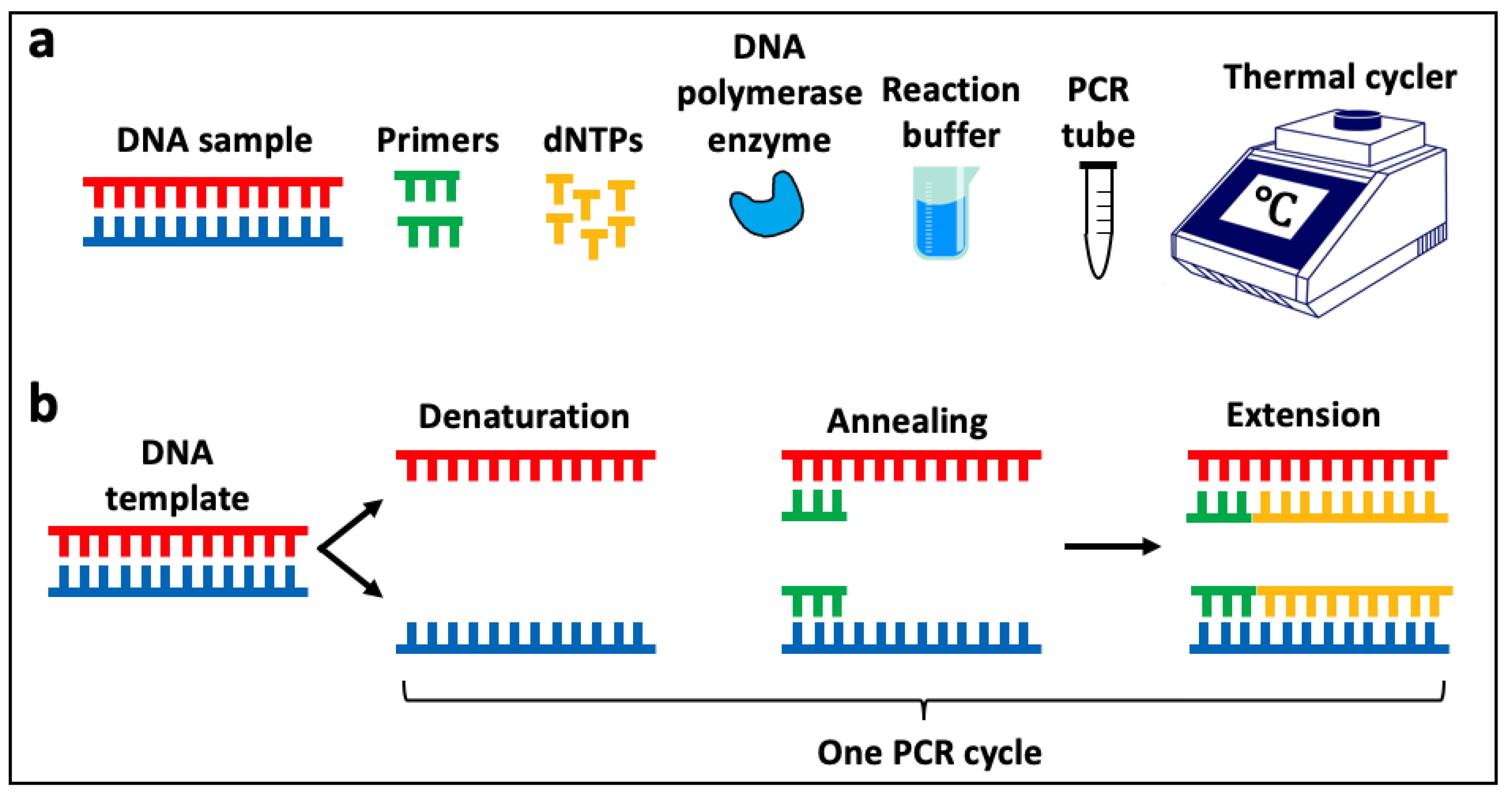 Animals 14 00769 g005