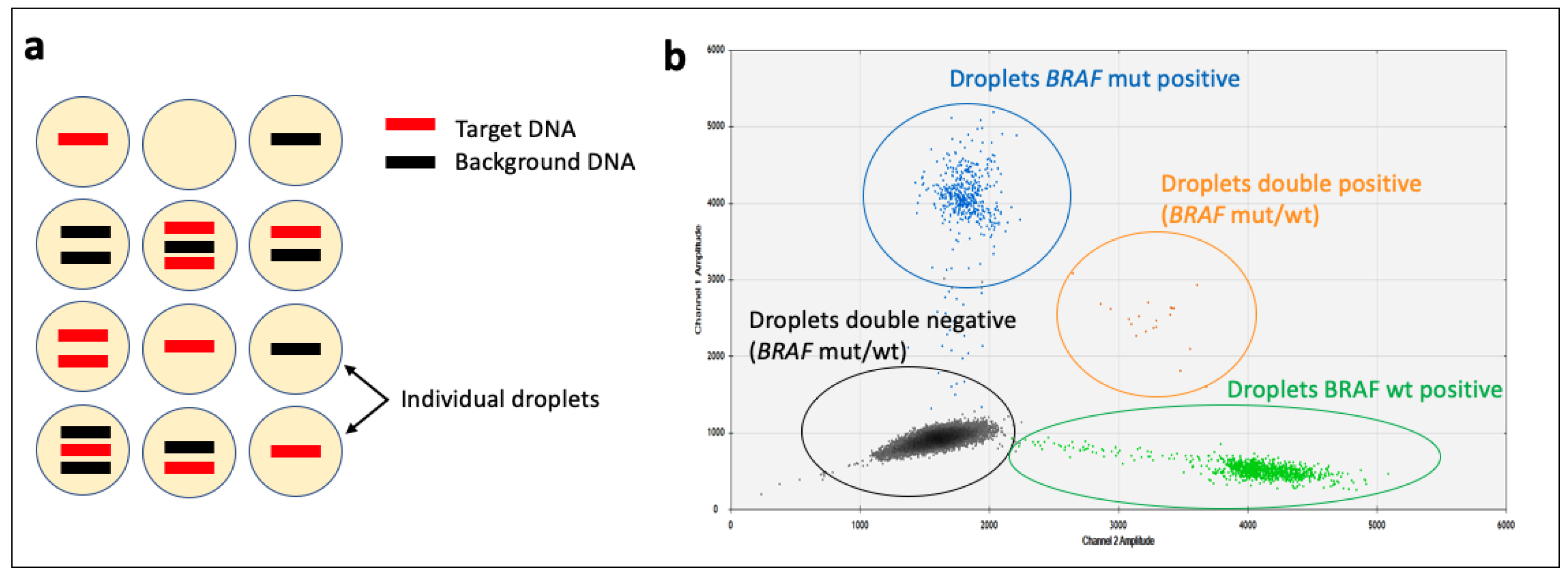 Animals 14 00769 g006